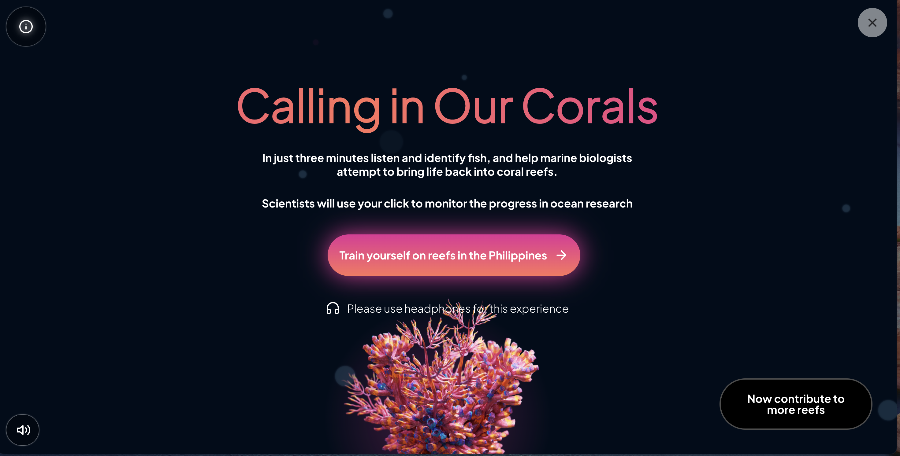 calling-in-our-corals.png