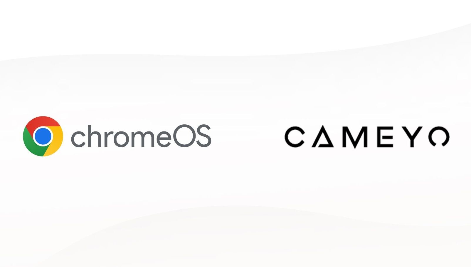 1717624666_chomeos-cameyo.jpg