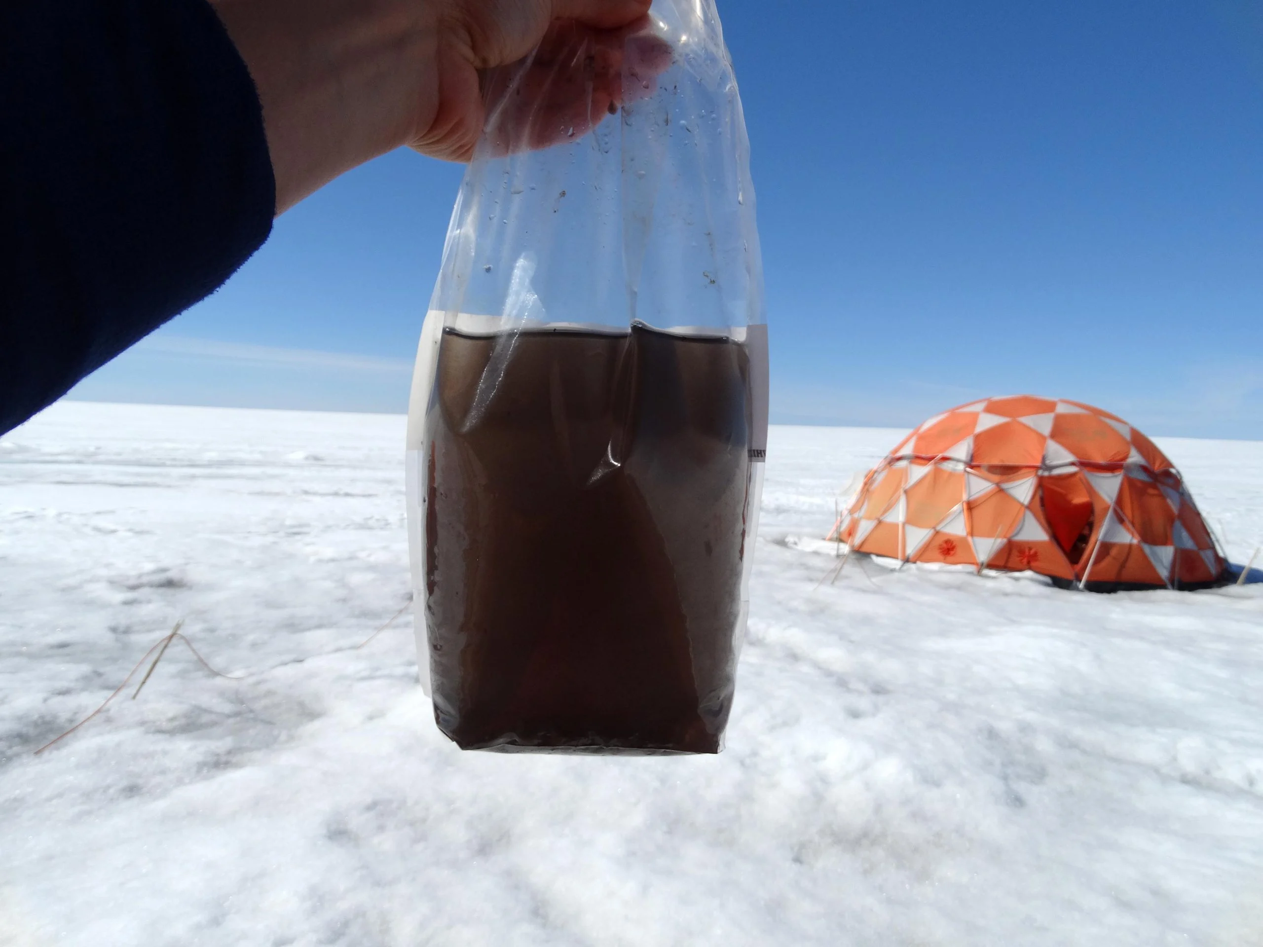 Greenland-Ice-Sheet-Sample-Giant-Virus-scaled.webp