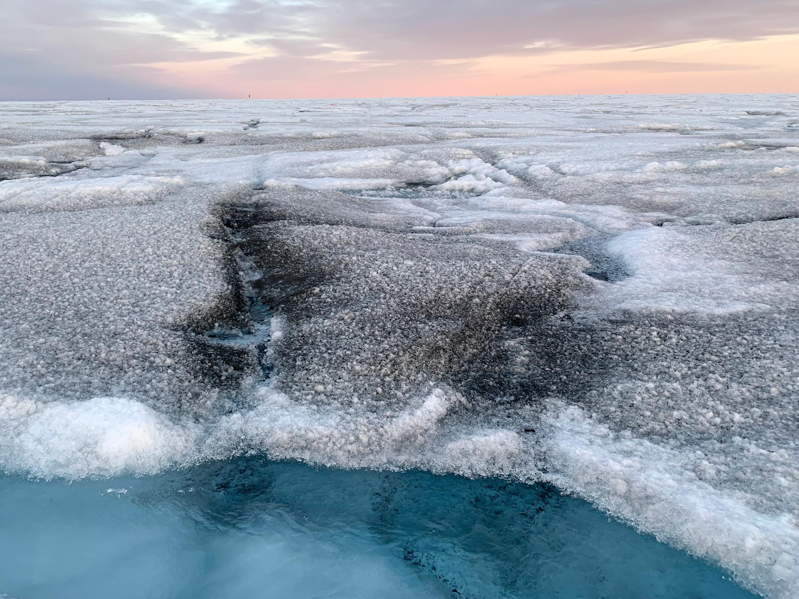 Algae-Blackened-Ice-scaled.jpg