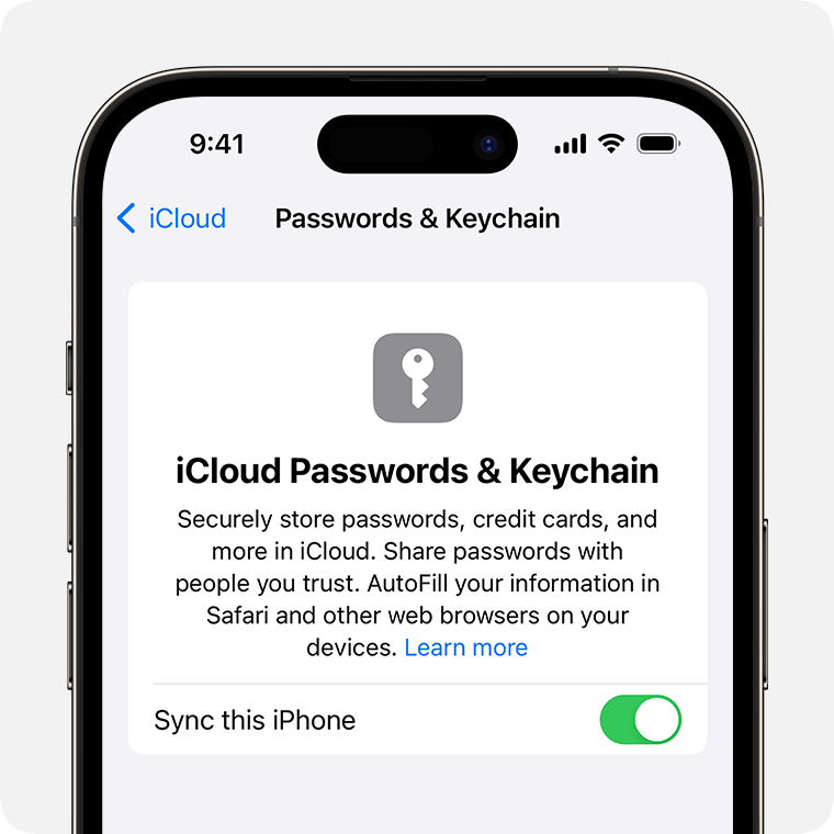 ios-17-iphone-14-pro-settings-apple-id-icloud-passwords-keychain.png