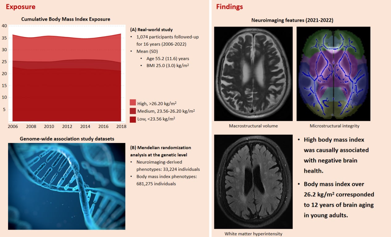 Causal-Association-Betweem-BMI-and-Brain-Health.jpg