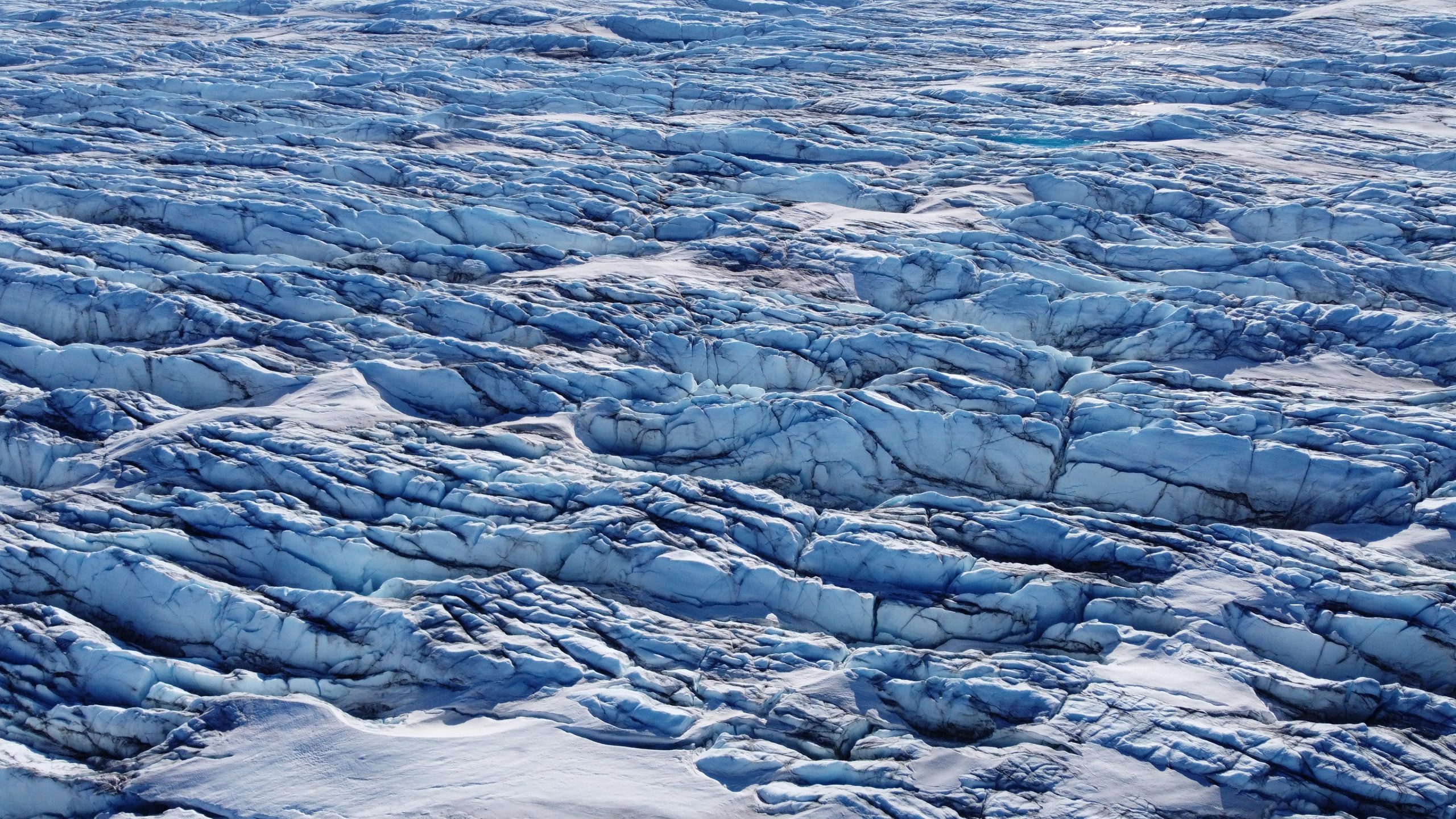 Greenland-Ice-Sheet-Blackened-Algae-scaled.jpg