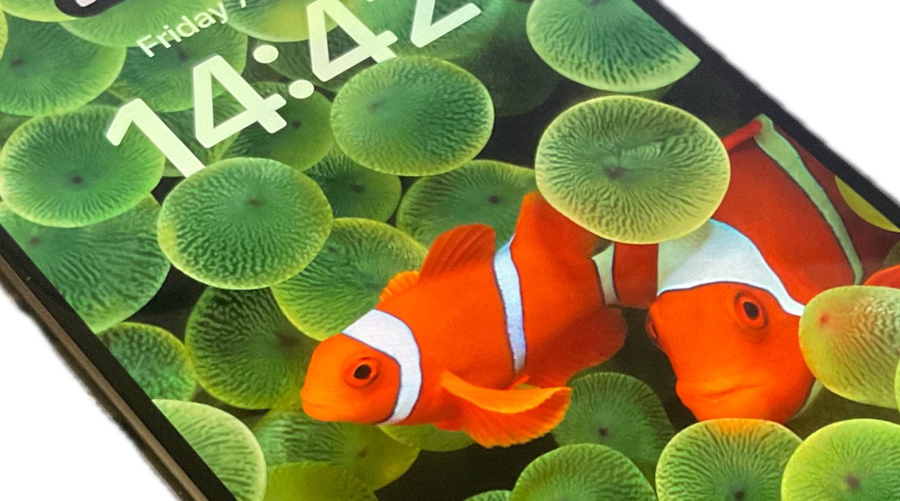 59942-122891-000-lede-clownfish-xl.jpg