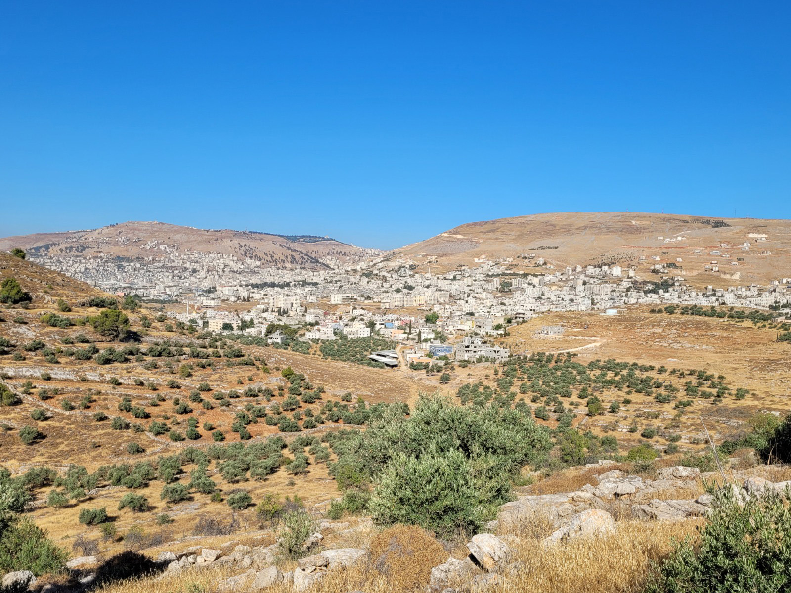 Mt.-Gerizim-and-Mt.-Ebal_jpg_92.jpg