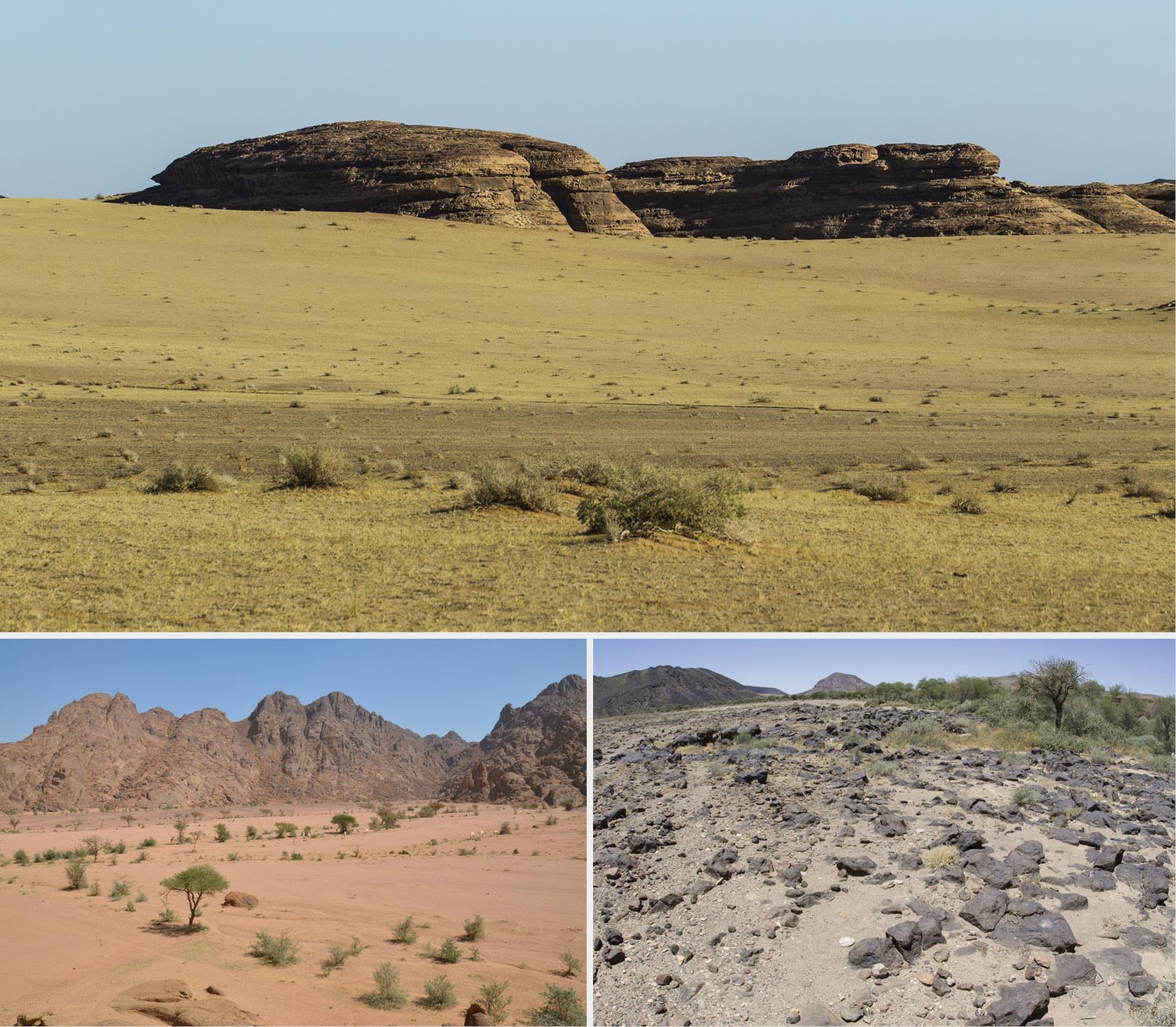 Habitats-of-Rhynchocalamus-hejazicus.jpg
