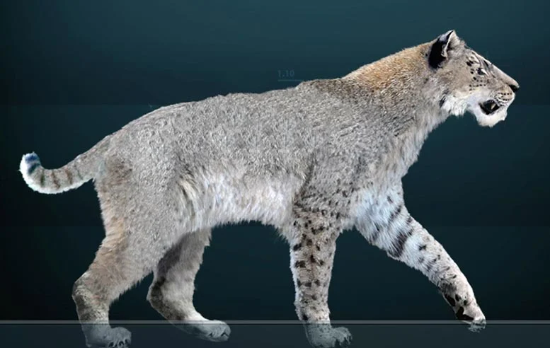 Artists-Rendering-of-Homotherium-serum.webp