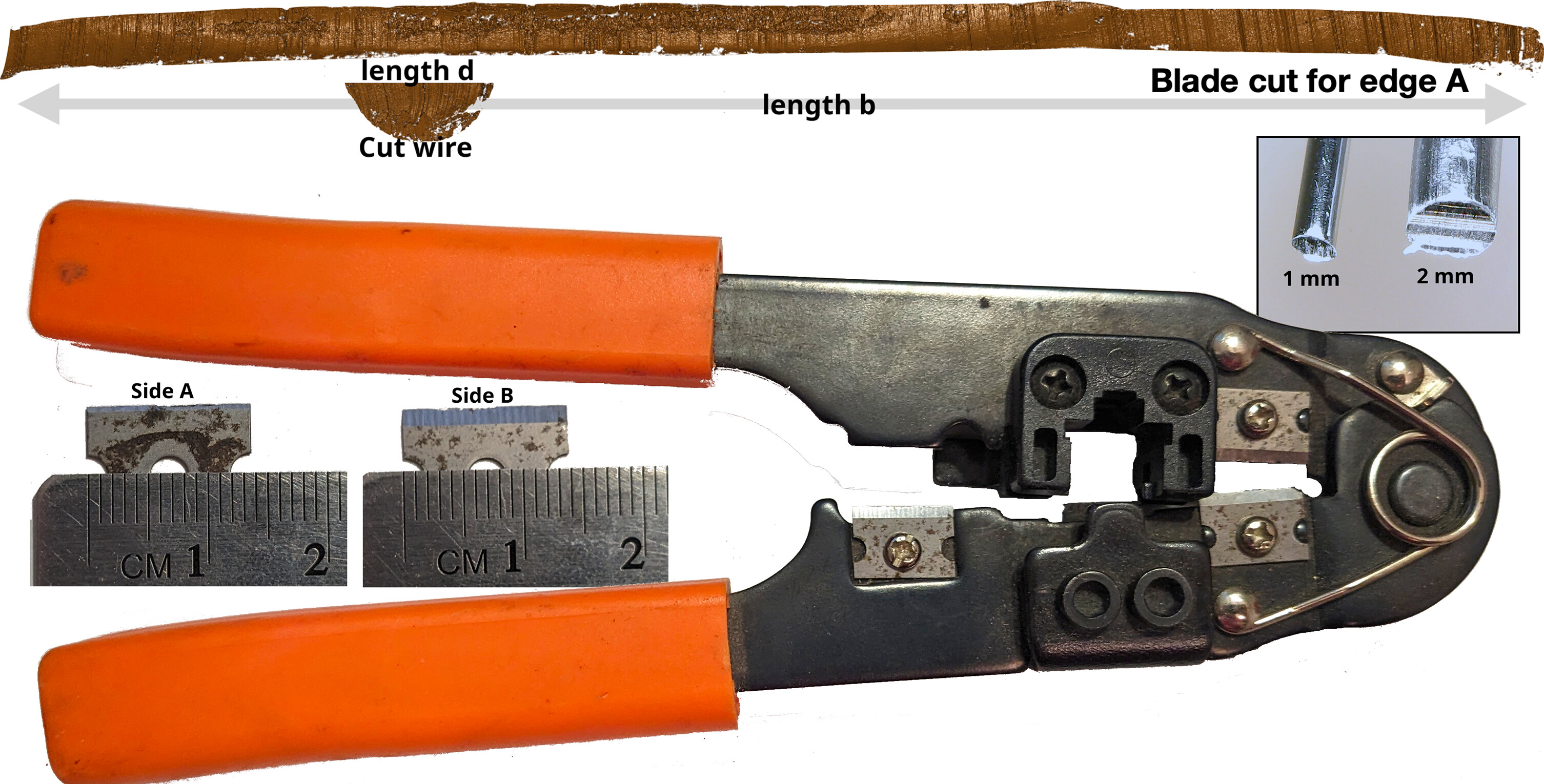 pnas.2401326121fig01.jpg