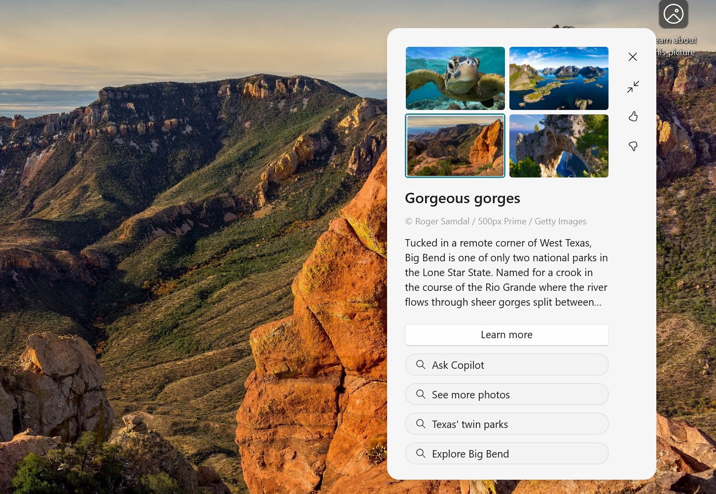 new-desktop-spotlight-experience-in-windows-11.jpg
