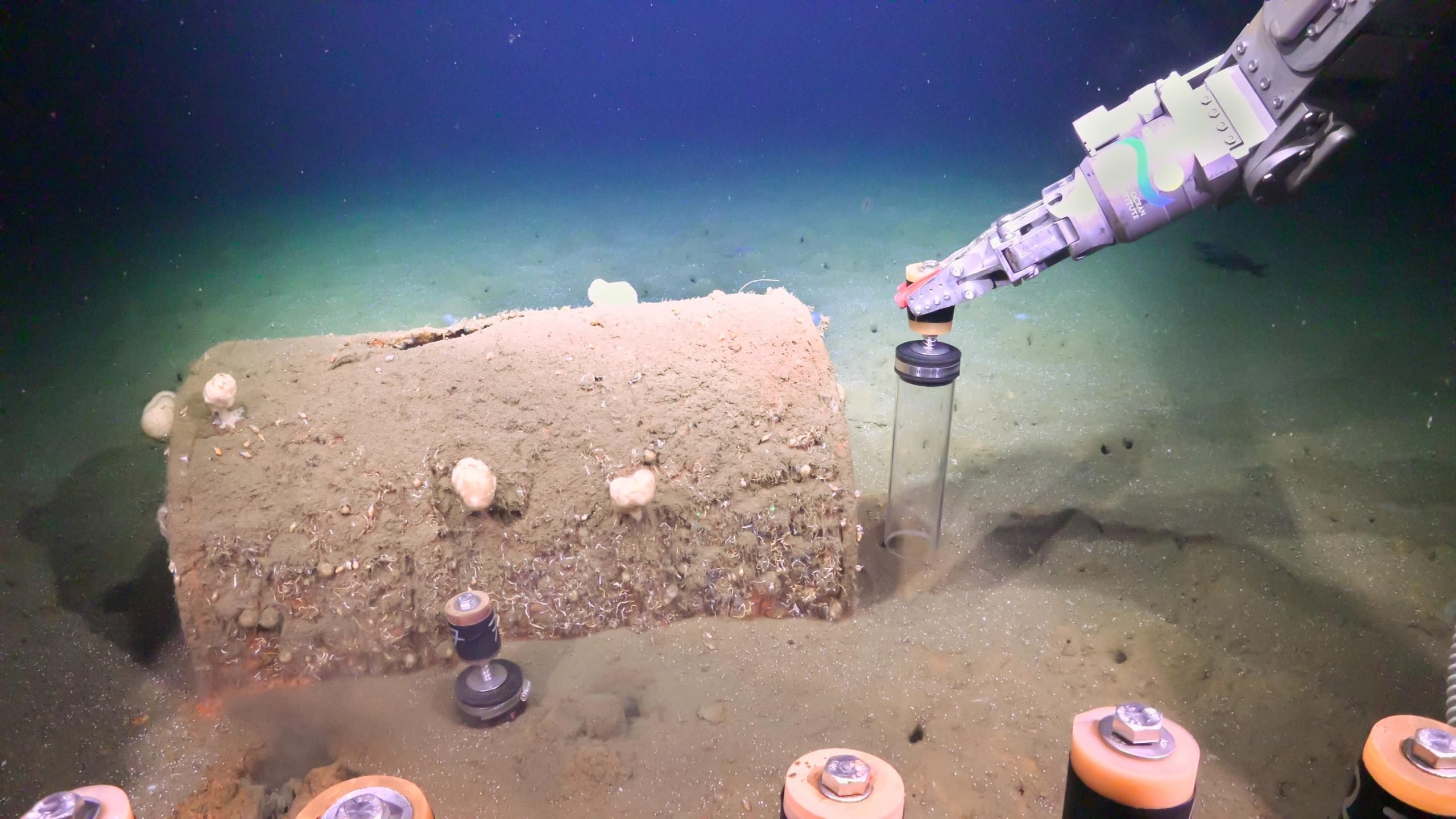 DDT-Barrel-on-the-Seafloor-scaled.jpg