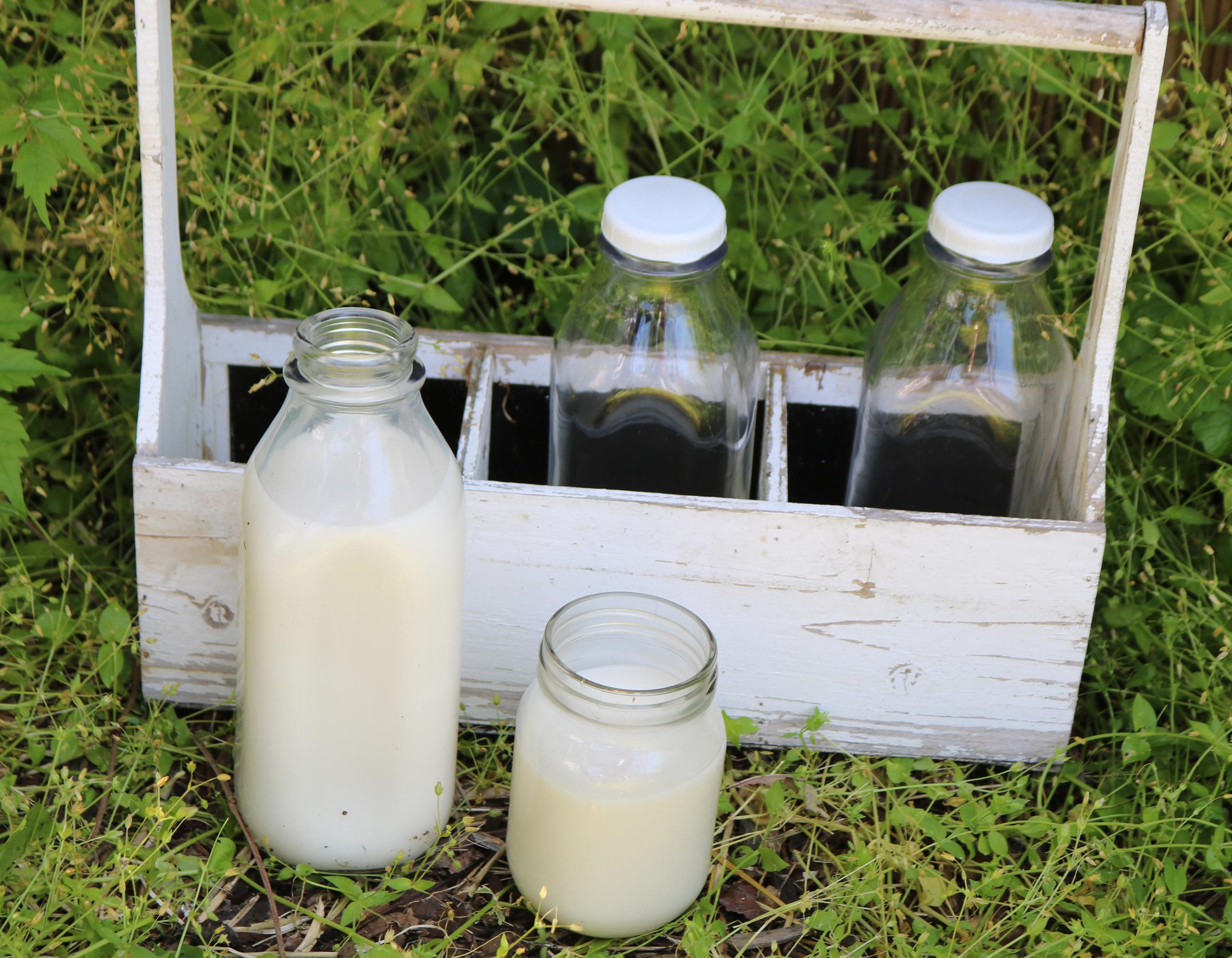 Fresh-Milk-on-Farm-scaled.jpg