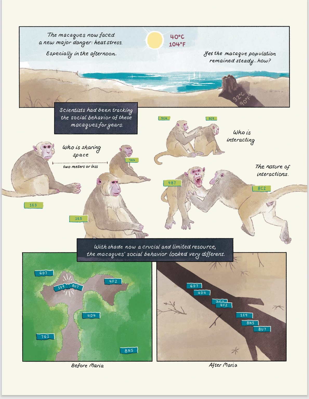 Ecological-Disturbance-Alters-the-Adaptive-Benefits-of-Social-Ties-3-1189x1536.jpg