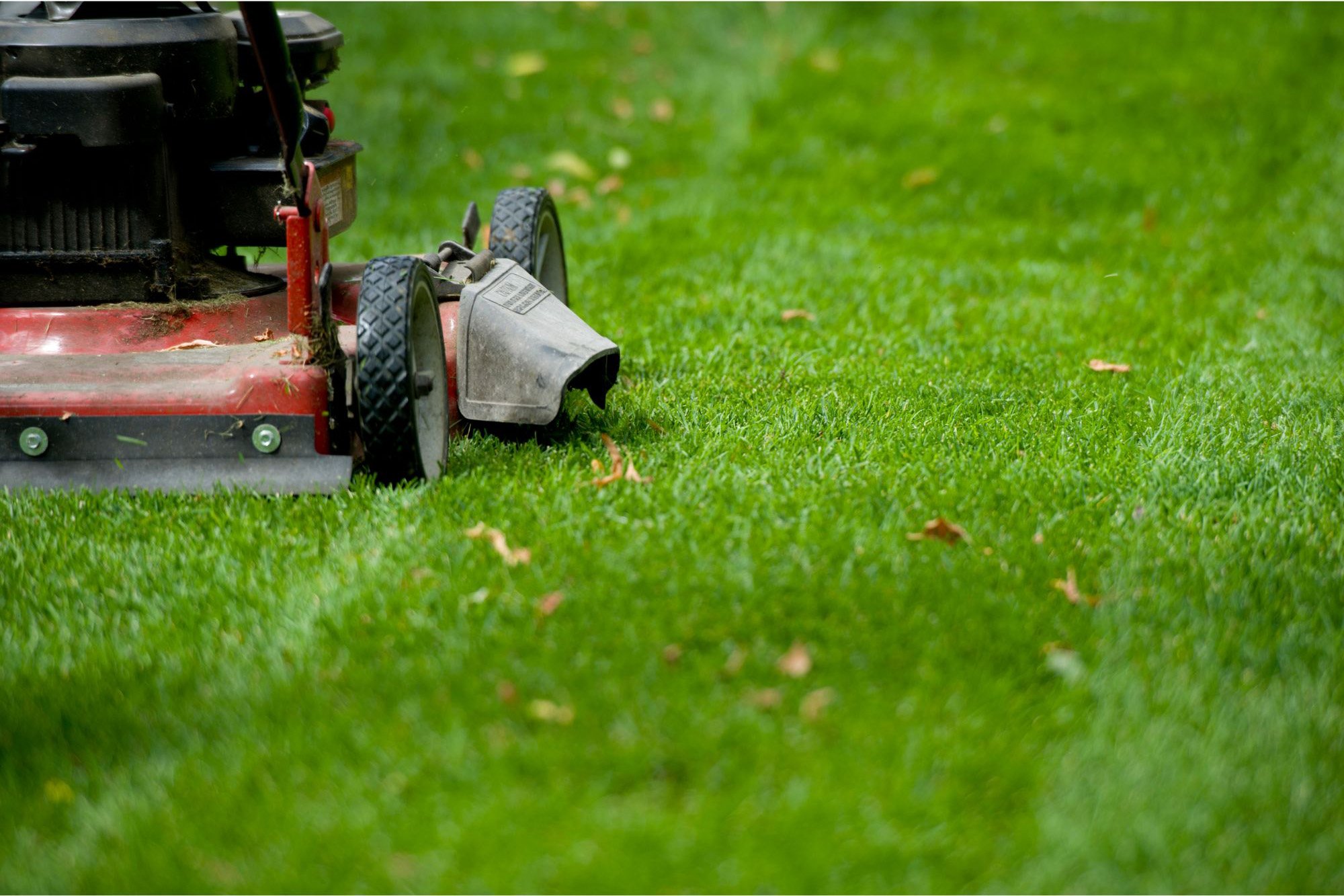Yard-Lawnmower.jpg