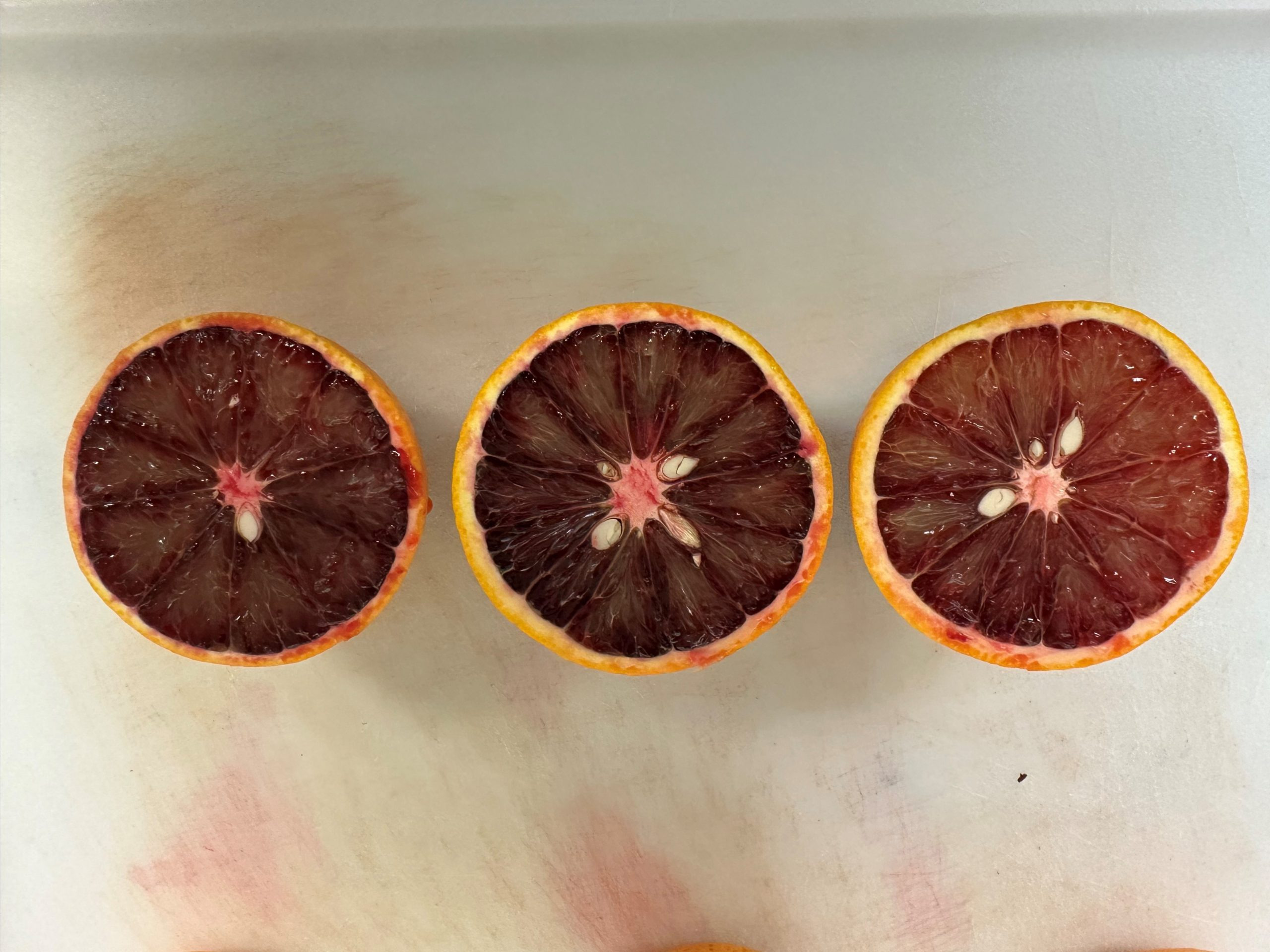Blood-Oranges-scaled_jpg_92.jpg