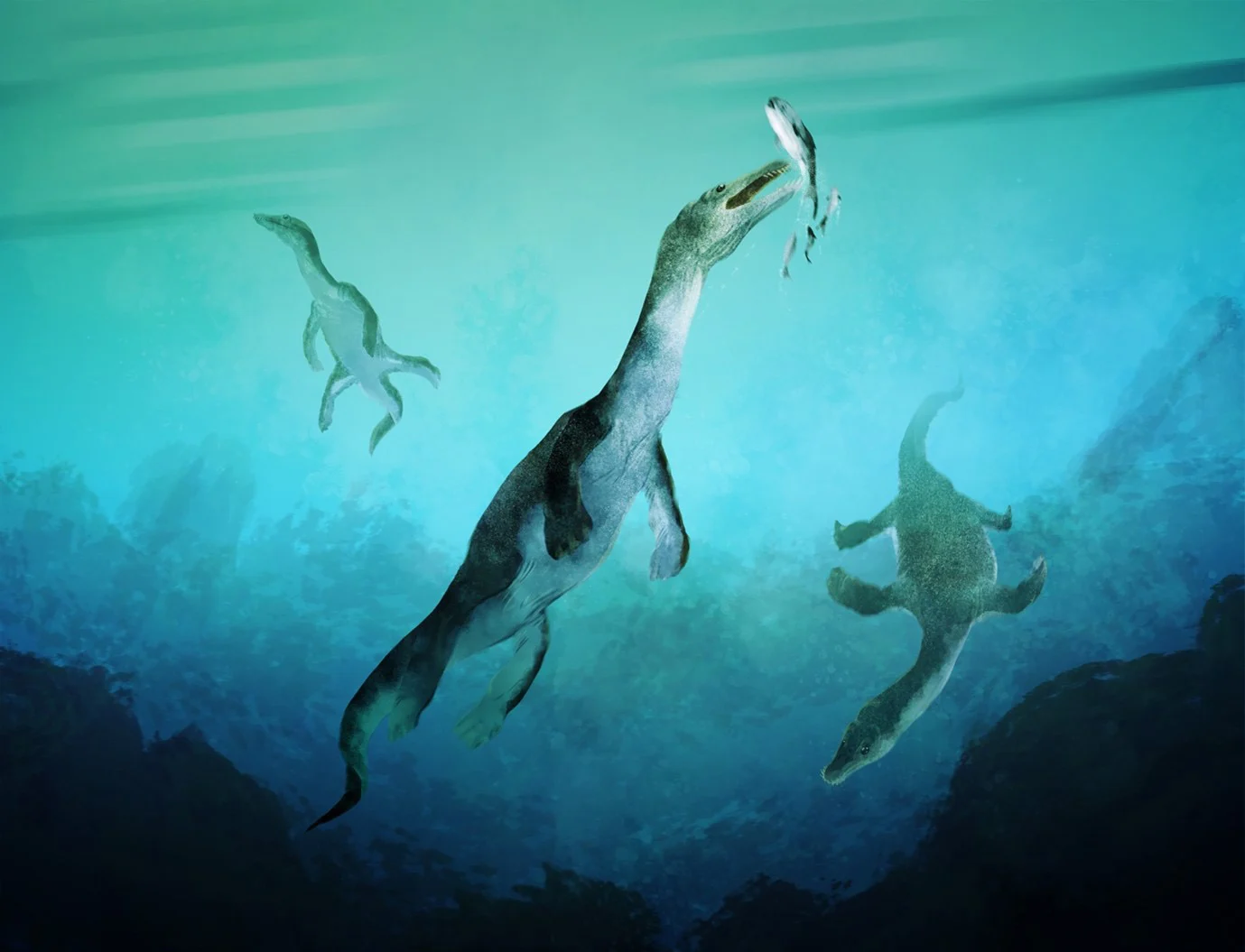 Reconstruction-of-Nothosaurs.webp