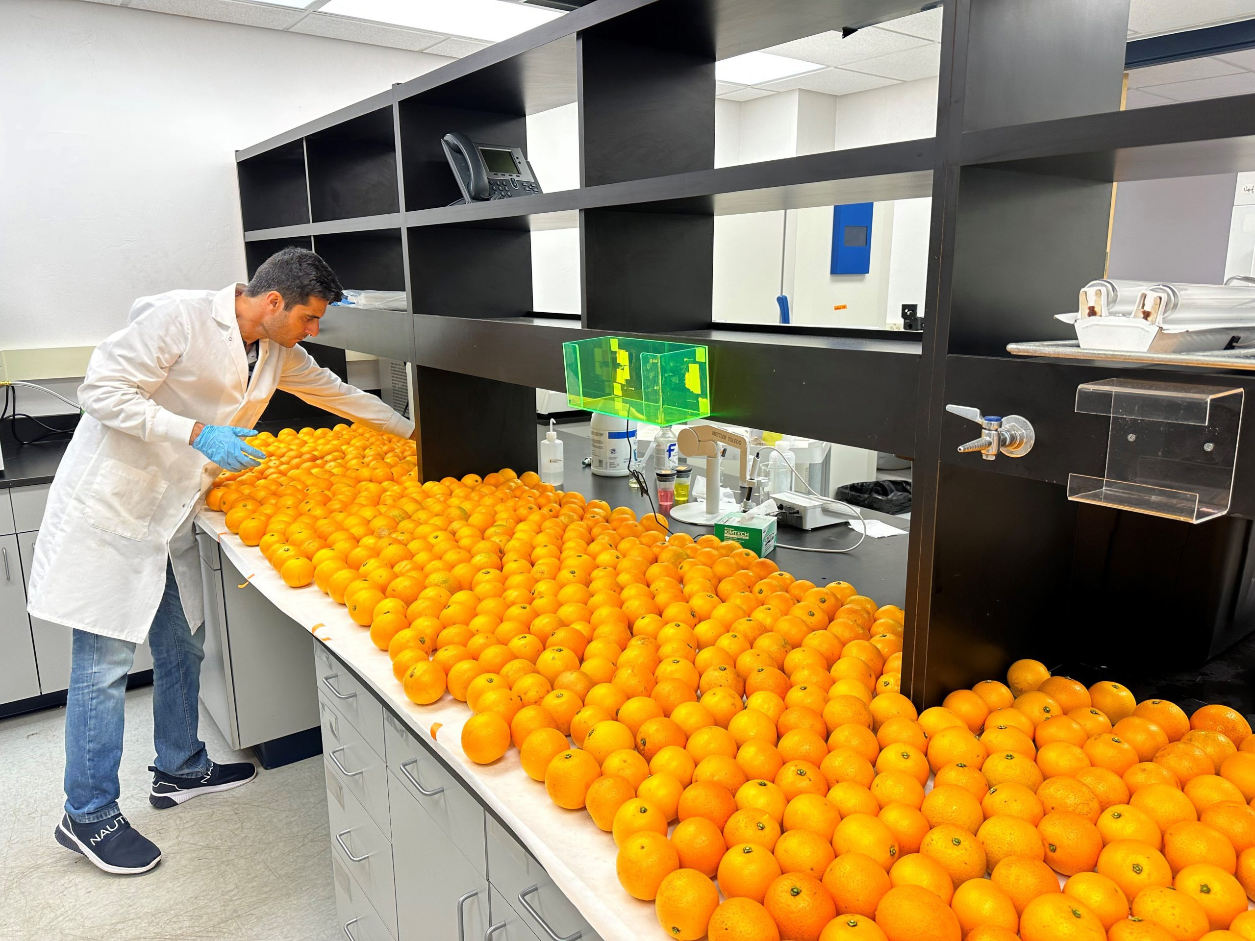 Blood-Oranges-Lab-scaled_jpg_92.jpg