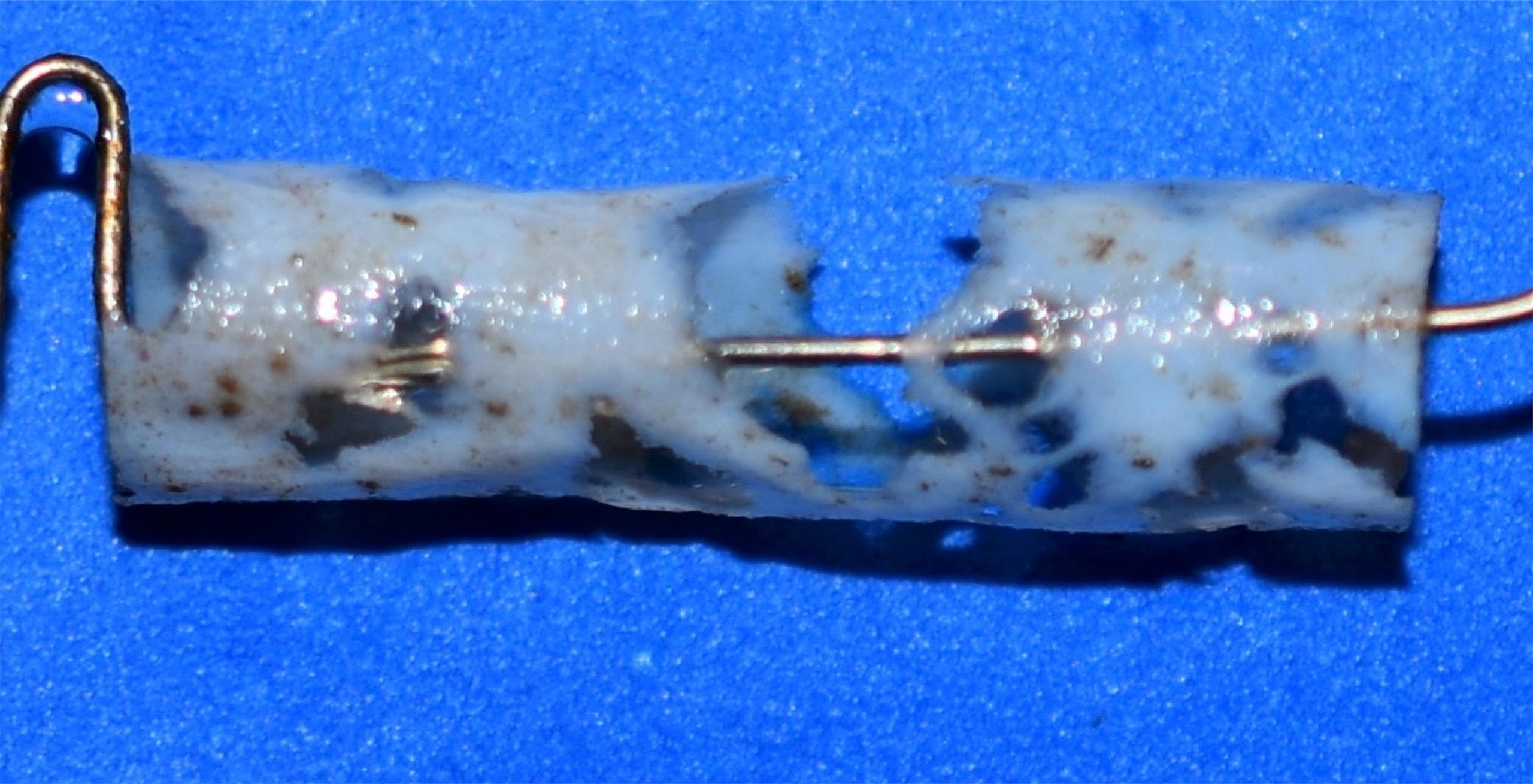 Bioplastic-Straw-After-16-Weeks-scaled.jpg