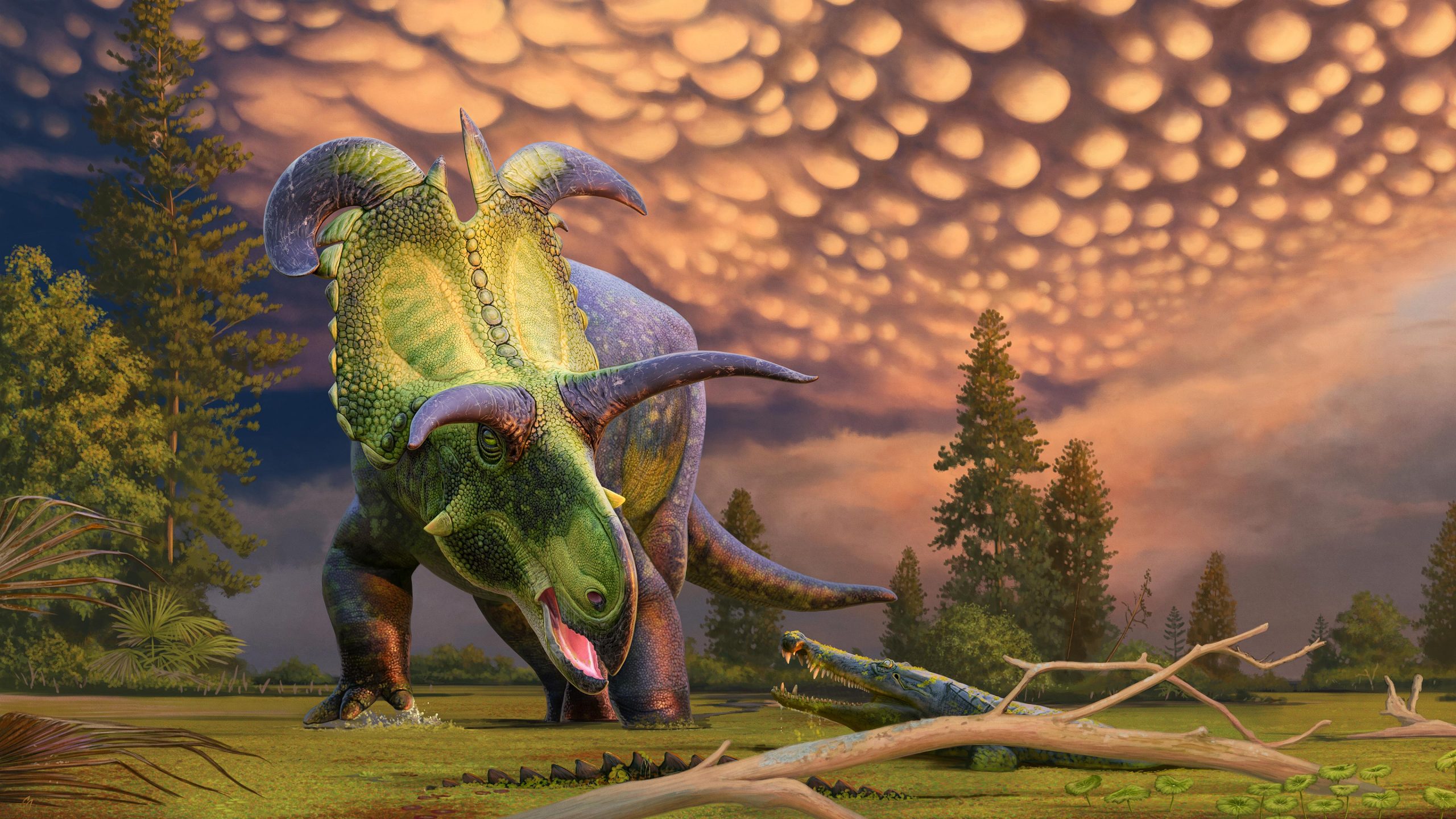 Reconstruction-of-Lokiceratops-Surprised-by-Crocodilian-Crop-scaled.jpg
