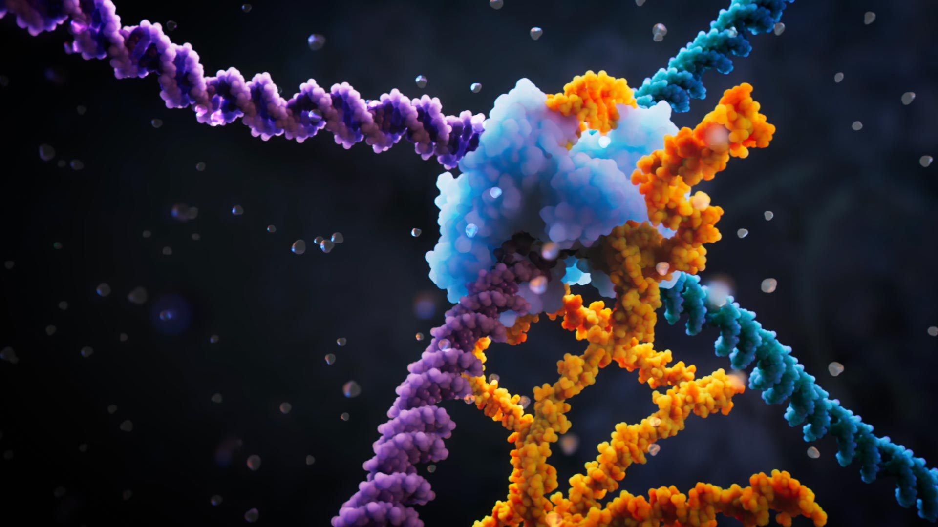 Bridge-Recombinase-Mechanism.jpg