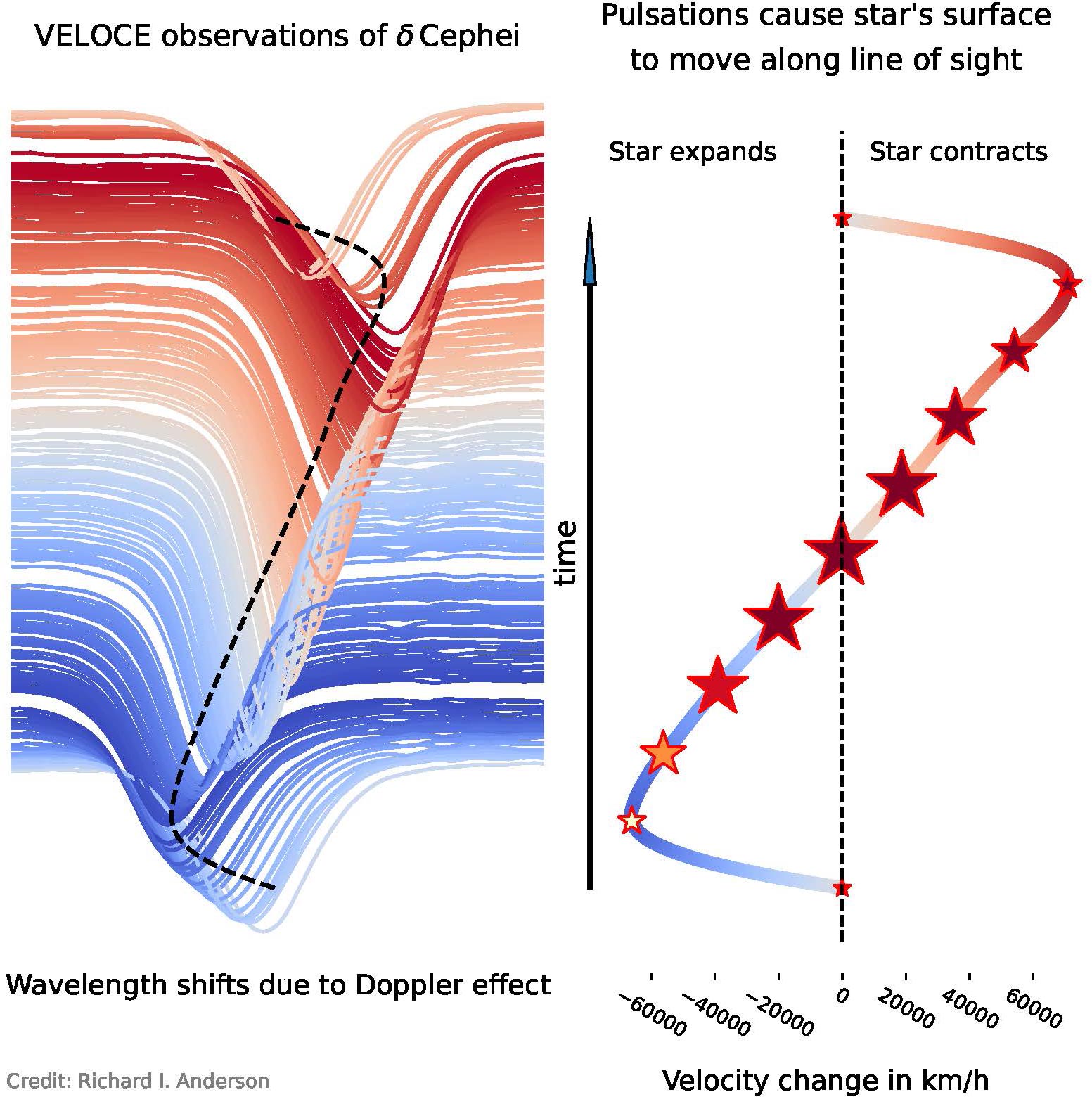 VELOCE-Observations-Expansion-Contraction-Cepheid-Stars-Unprecedented-Precision.jpg