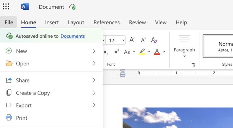 1720028194_word-file-menu.jpg