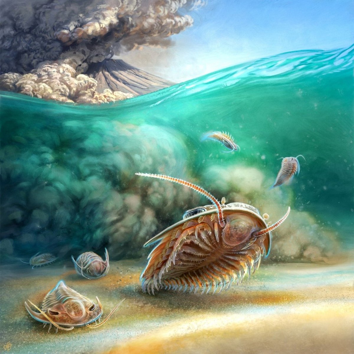Artistic-Reconstruction-of-Two-Species-of-Trilobite-Volcanic-Flow.jpg