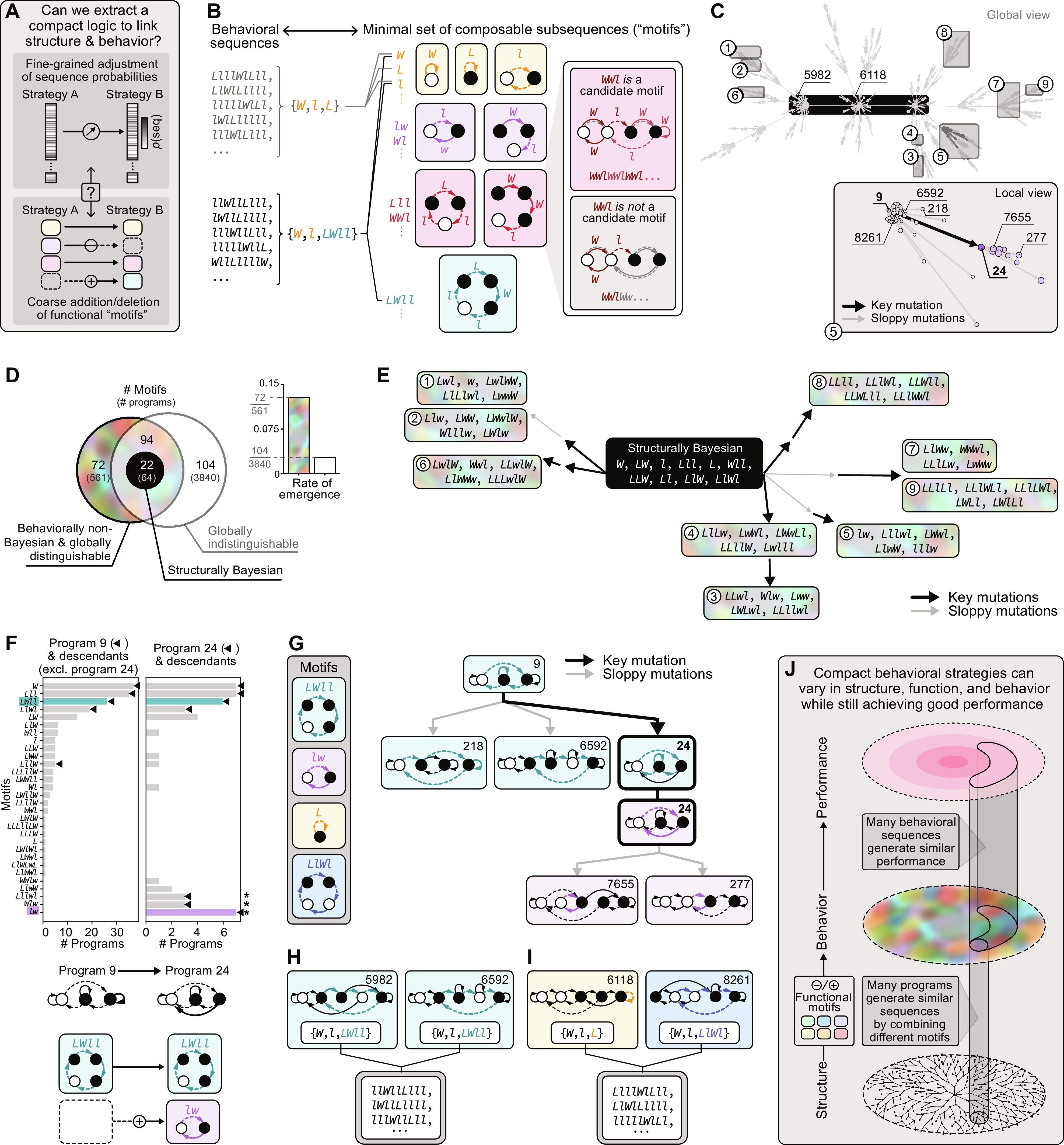 sciadv.adj4064-f4.jpg