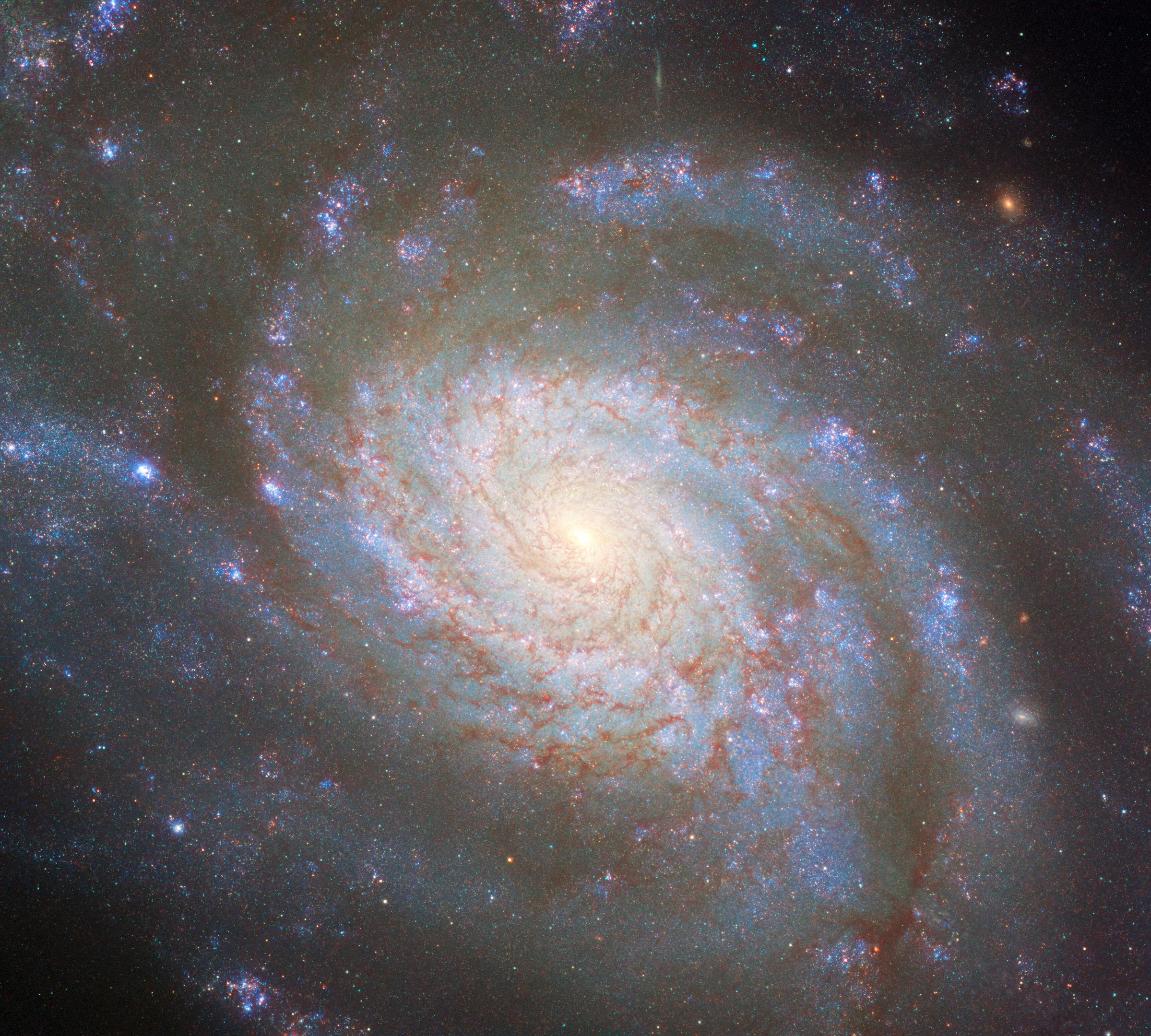 Galaxy-NGC-3810_jpg_92.jpg