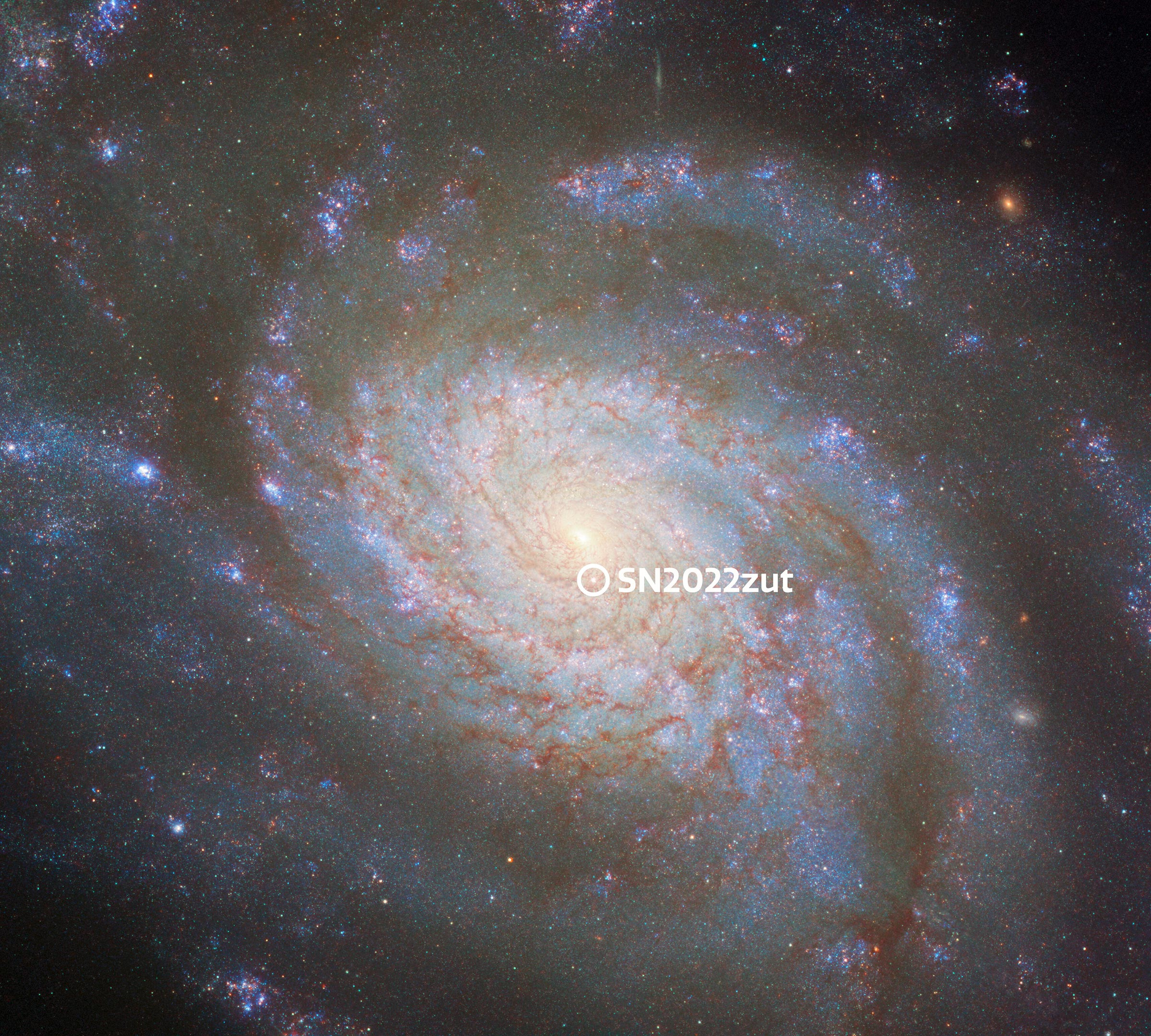 Galaxy-NGC-3810-With-Annotated-Supernova_jpg_92.jpg