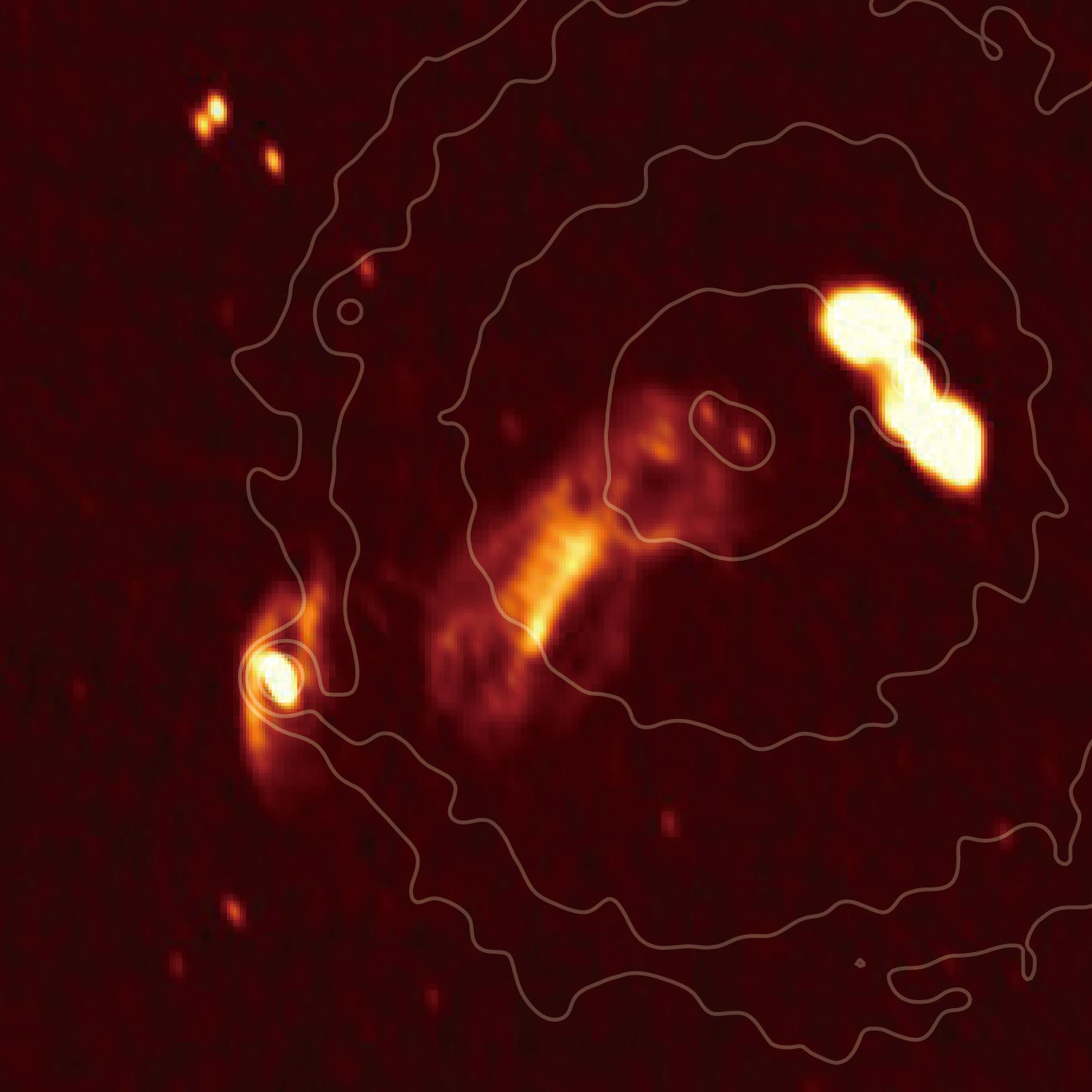 Flying-Fox-Hydra-Cluster_jpg_92.jpg