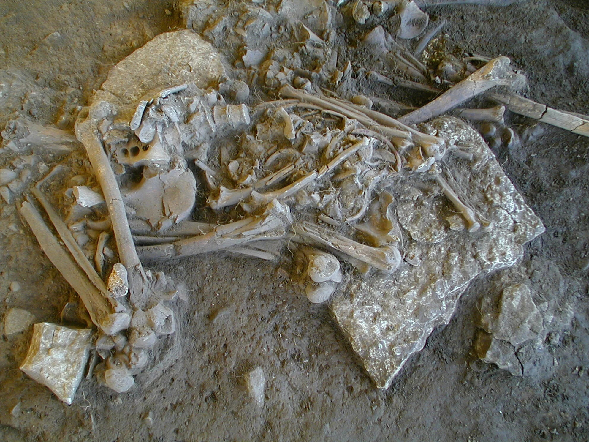 Fralsegarden-Passage-Grave-Skeleton_jpg_92.jpg