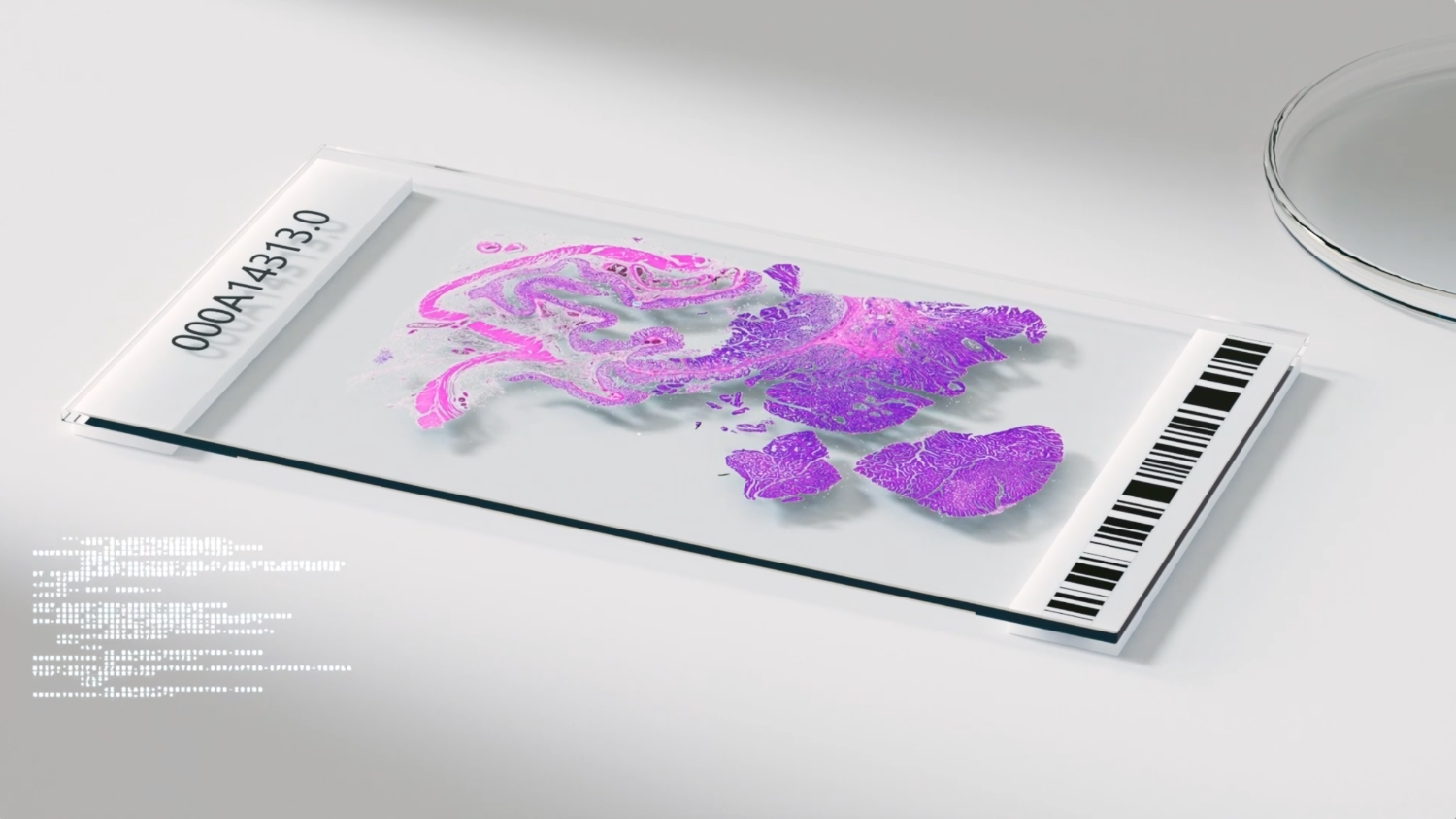 668f8dcb3775812b7e5f907d_Histology slide CGI video 1500x800.png