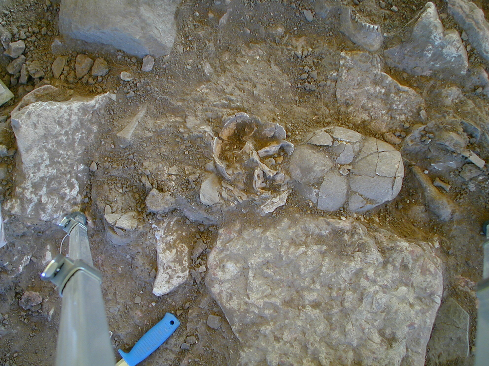 Fralsegarden-Passage-Grave-Skulls_jpg_92.jpg