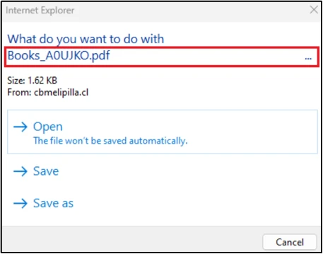 IE-warning-10072024.webp