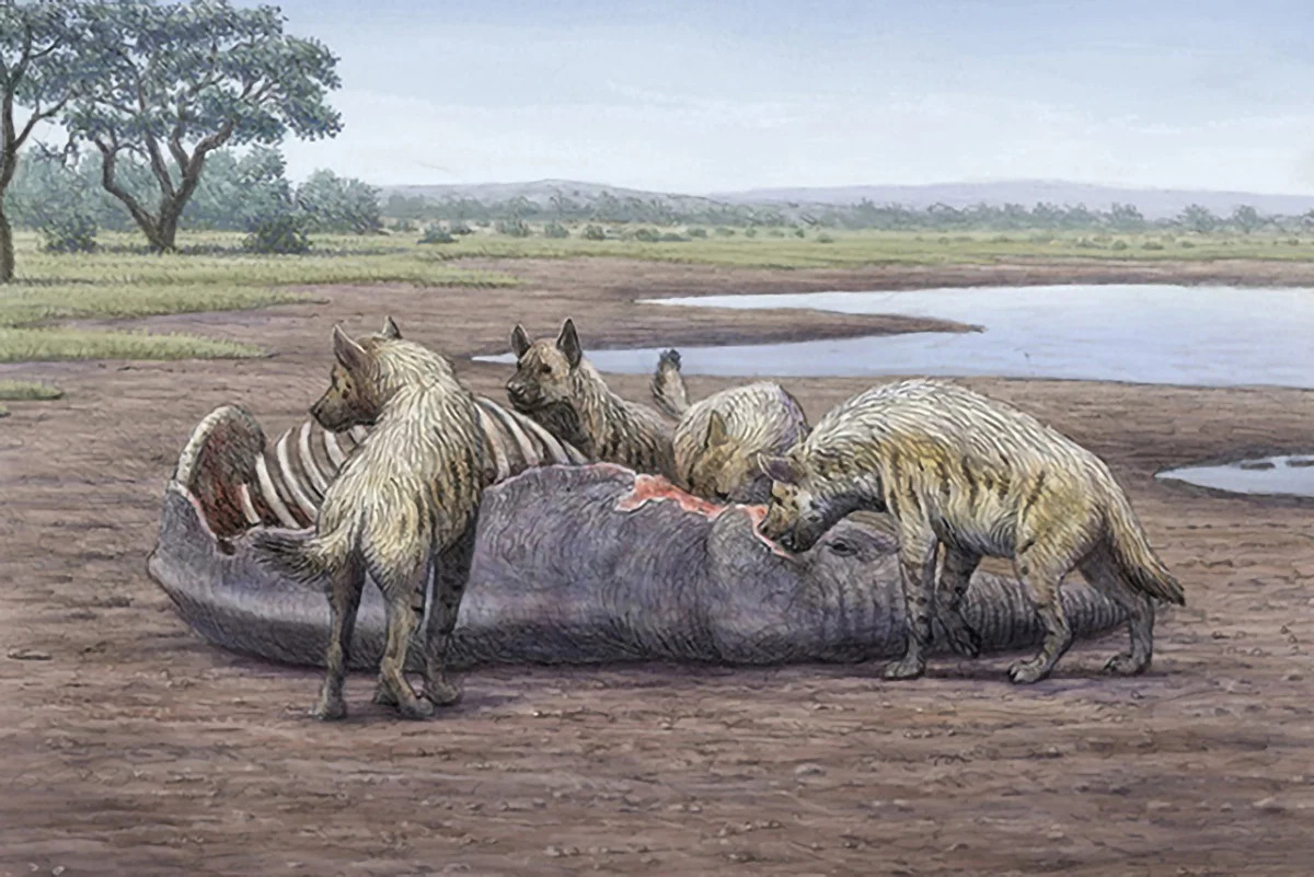 Elephant-Graveyard-Quicksand_jpg_92.jpg