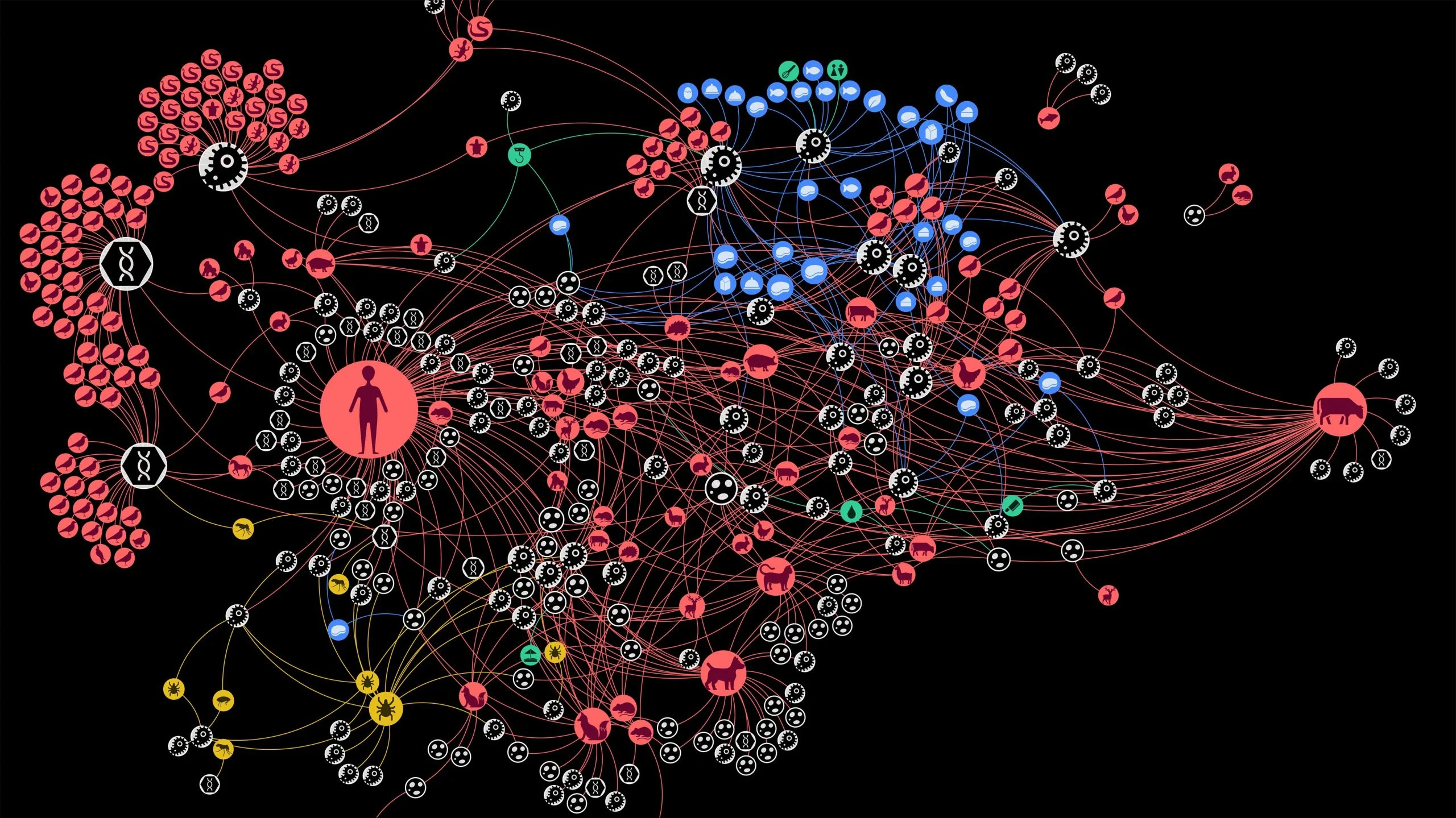 Network-Representation-Zoonotic-Web-Austria-1975-2022-scaled_jpg_92.jpg