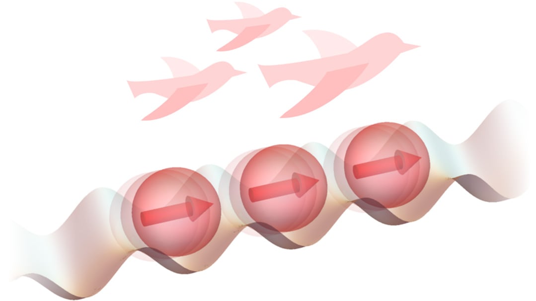 Flocking-Birds-and-Ferromagnetic-Order-in-Particles.jpg