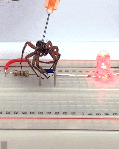 1aeee7cea2a4444e9c4e81973cb19168.gif