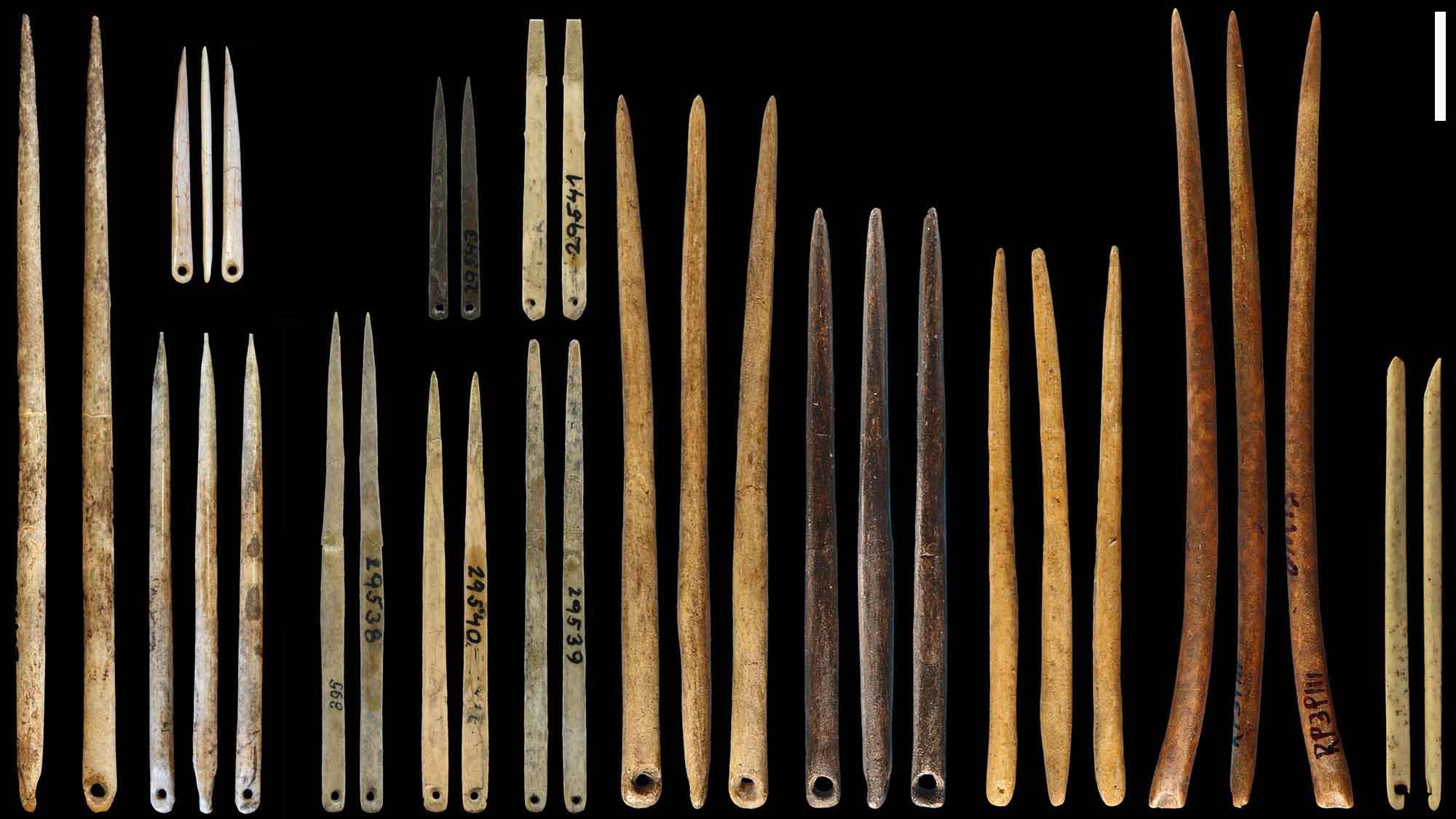 Eyed-Needles-Last-Ice-Age.jpg
