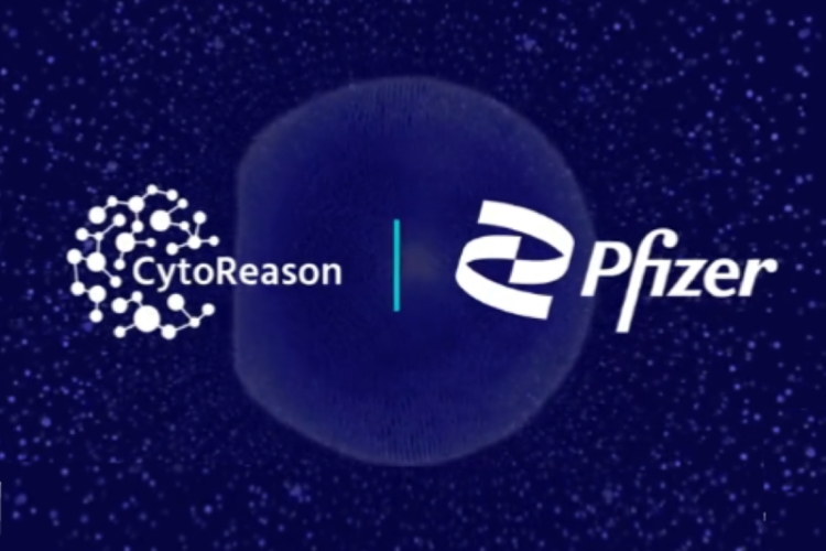 CytoReason_Pfizer.jpg