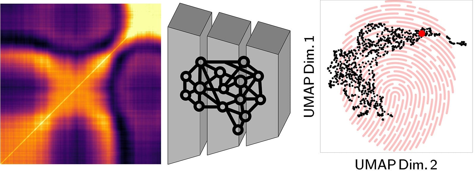 AI-NERD-Model.jpg