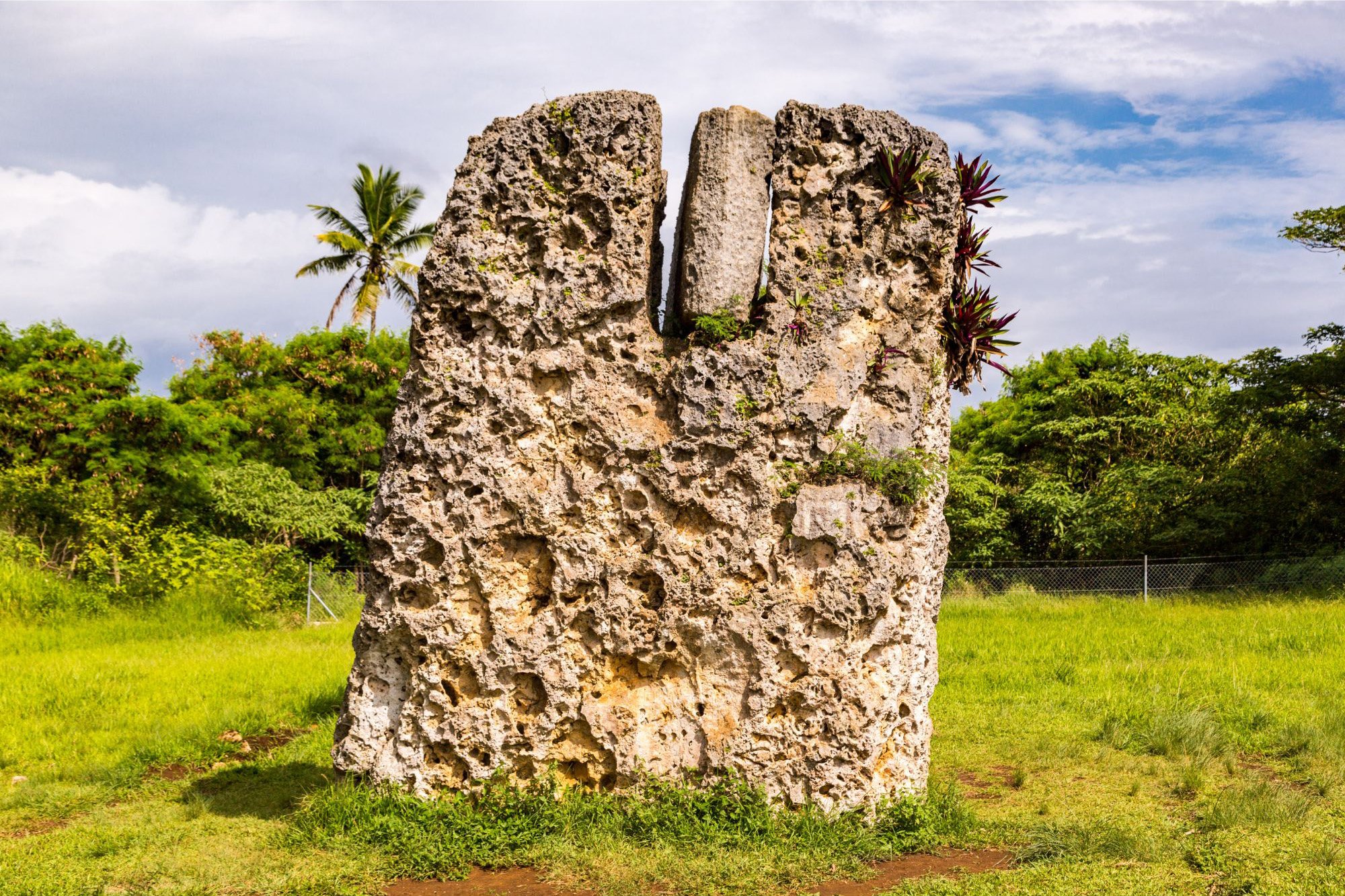 Burden-of-Maui-Tonga.jpg