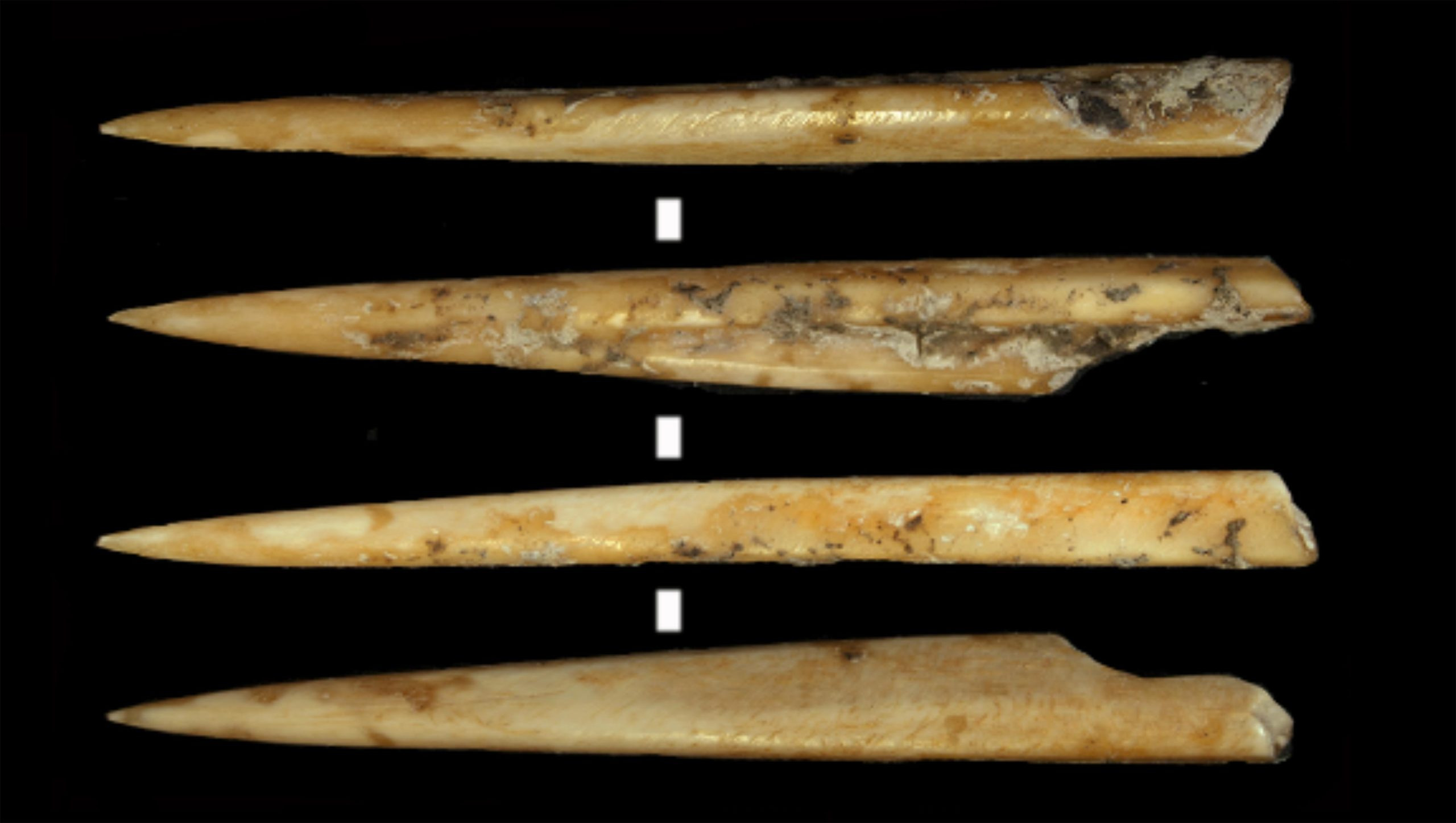 Neolithic-Deer-Projectile-Tip-1-scaled_jpg_92.jpg