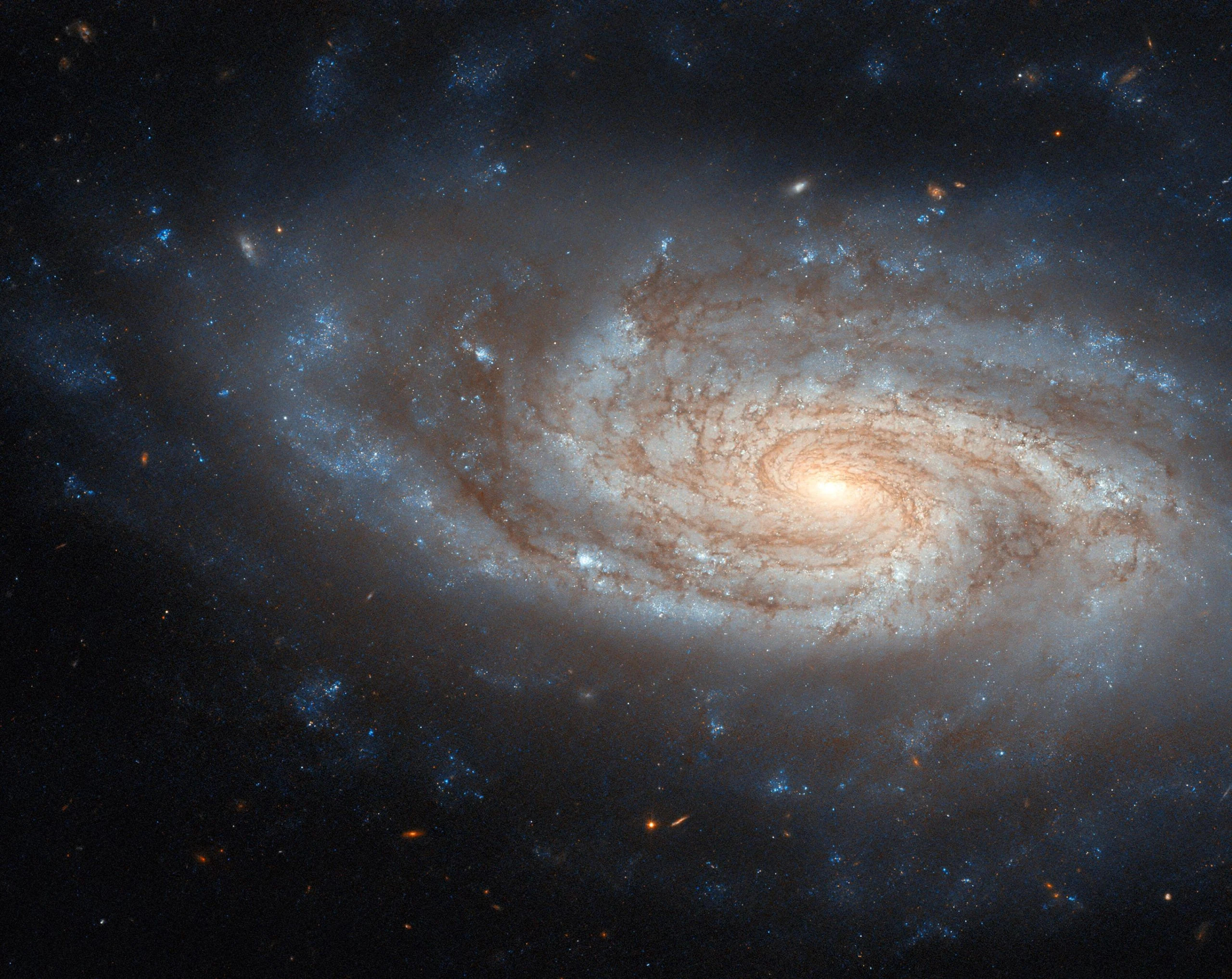 Spiral-Galaxy-NGC-3430-scaled_jpg_92.jpg