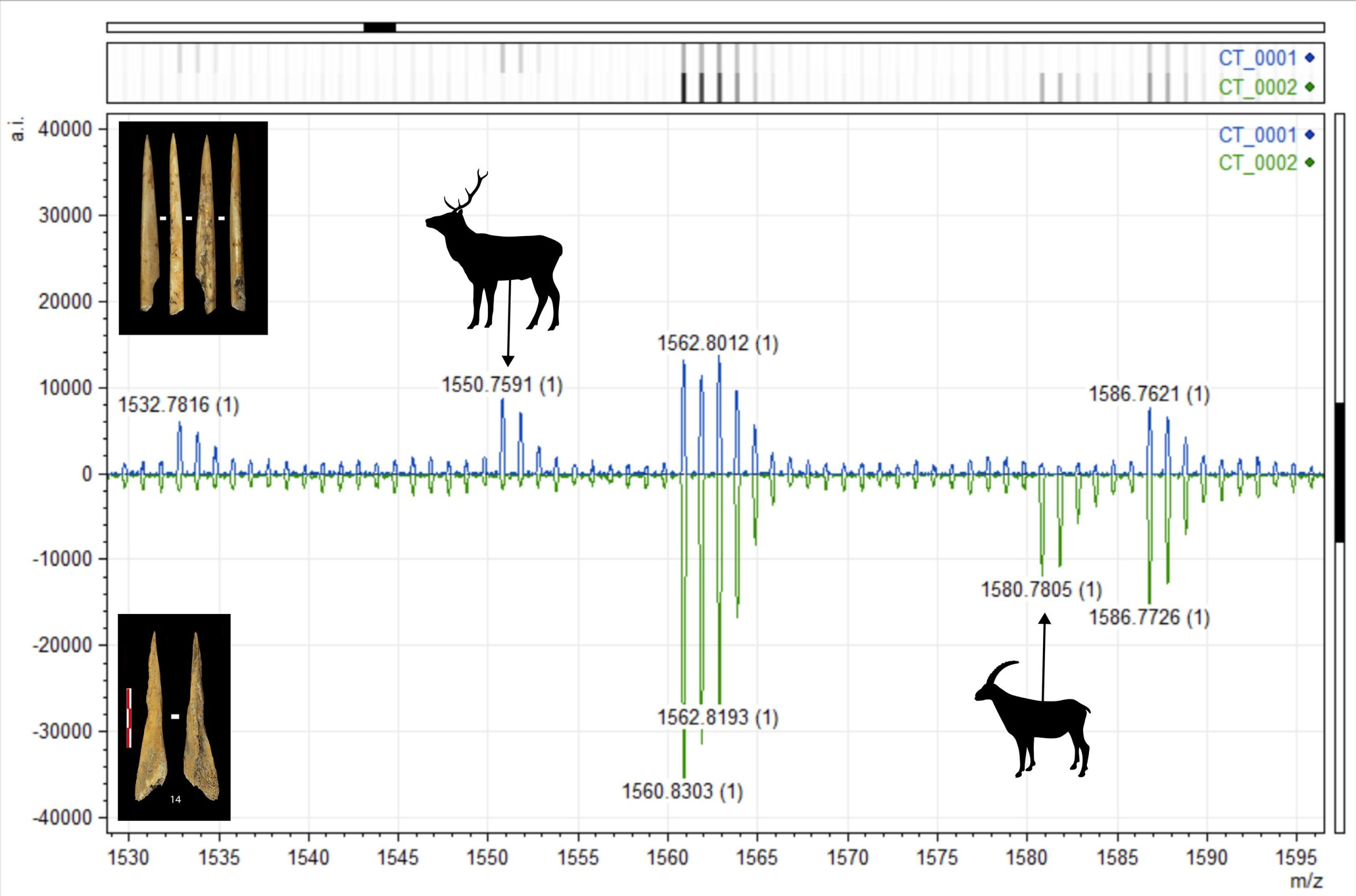 Analysis-Graph-of-Neolithic-Bone-Tools-scaled_jpg_92.jpg