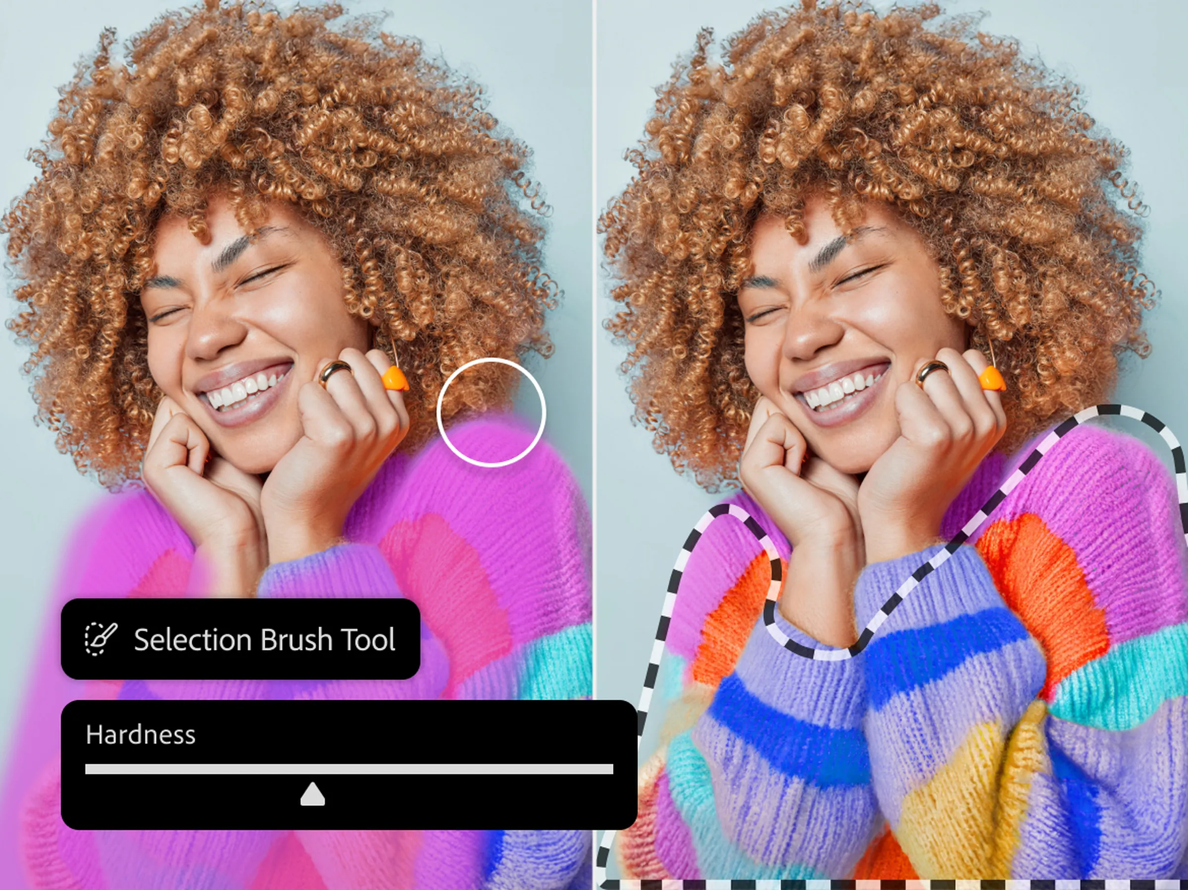 Selection_Brush_Tool.webp