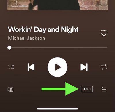 spotify-hifi-icon.jpg