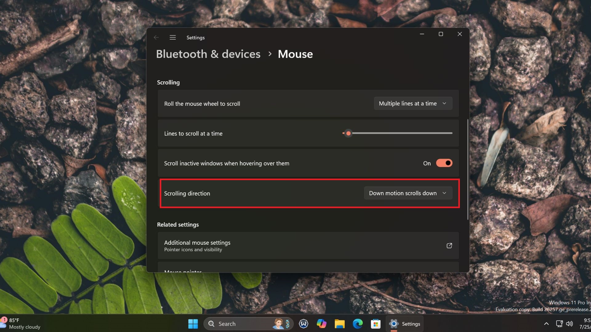 Windows-11-24H2-lets-you-adjust-the-mouse-scroll-wheel-direction.jpg