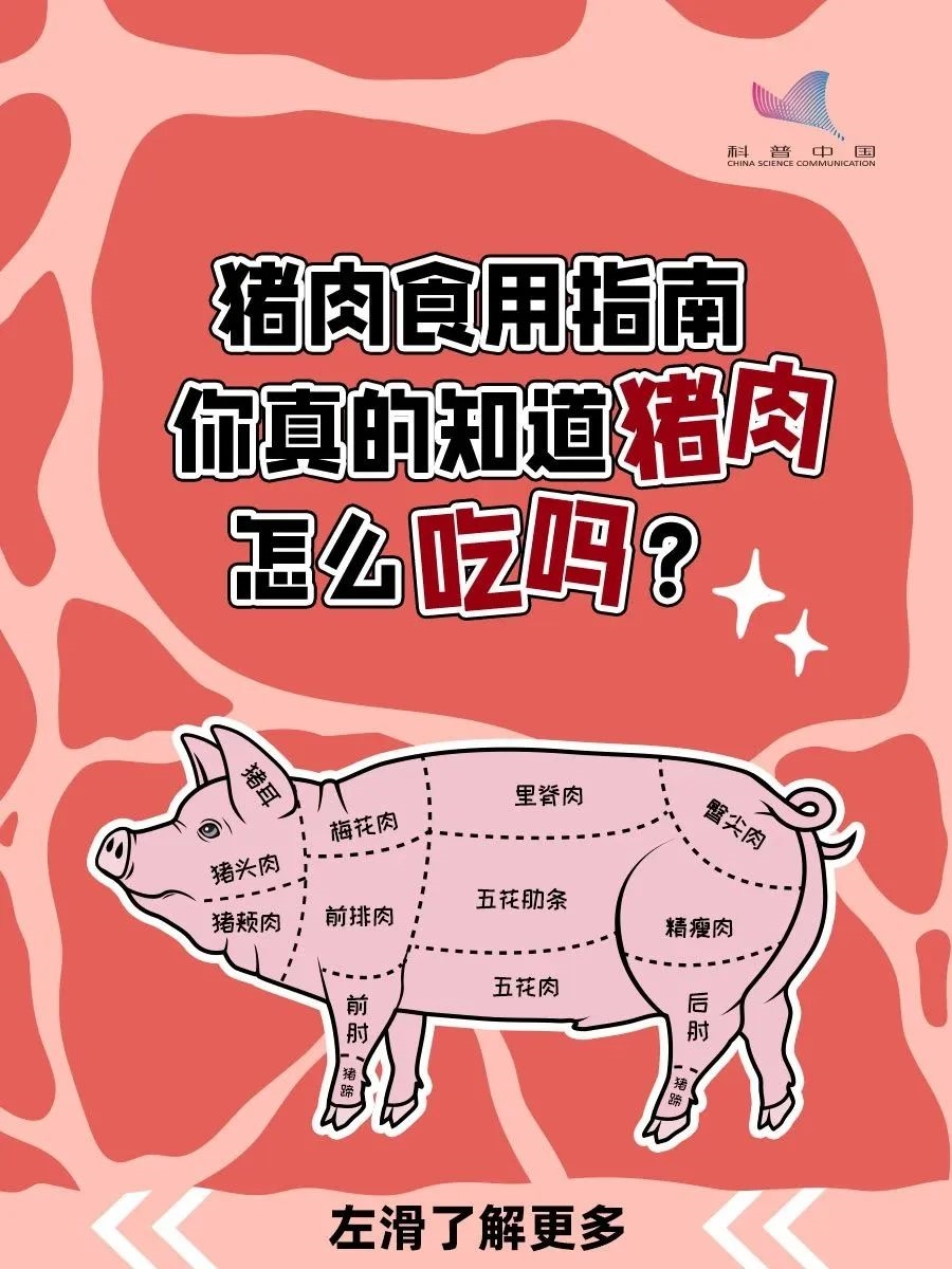b4bcfb8c-bd77-498e-bd99-126f45048b35.jpg
