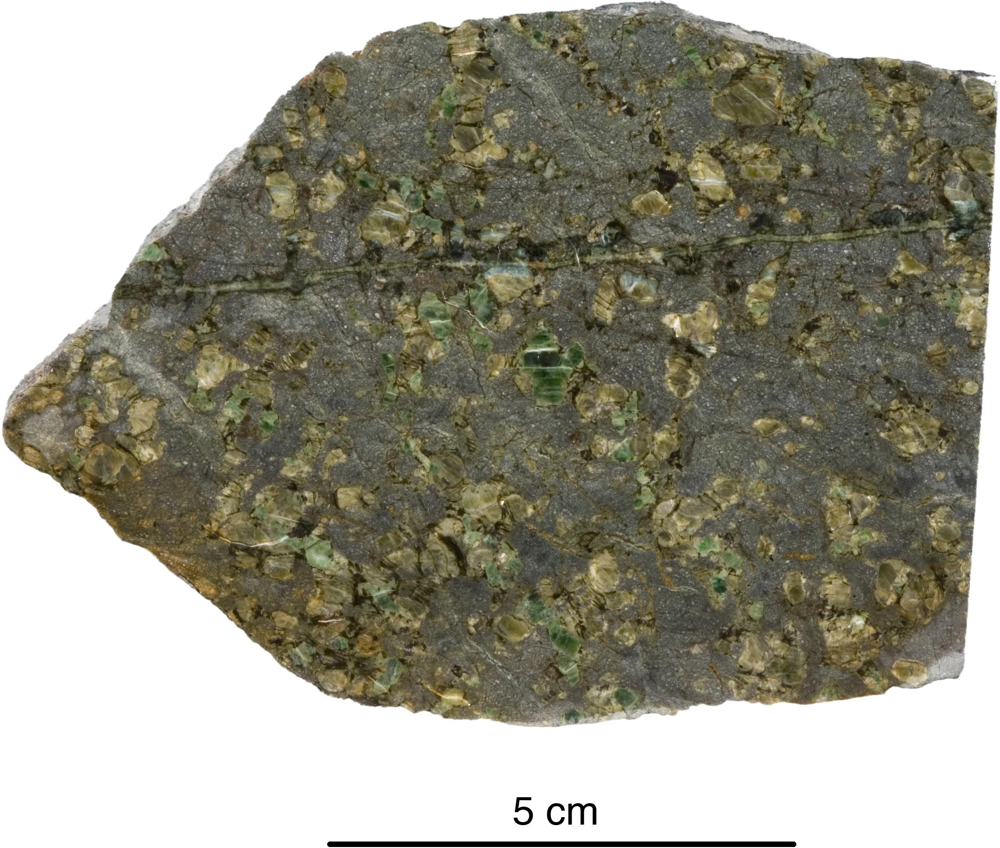 Ancient-Rock-Dredged-From-the-Seafloor_jpg_92.jpg